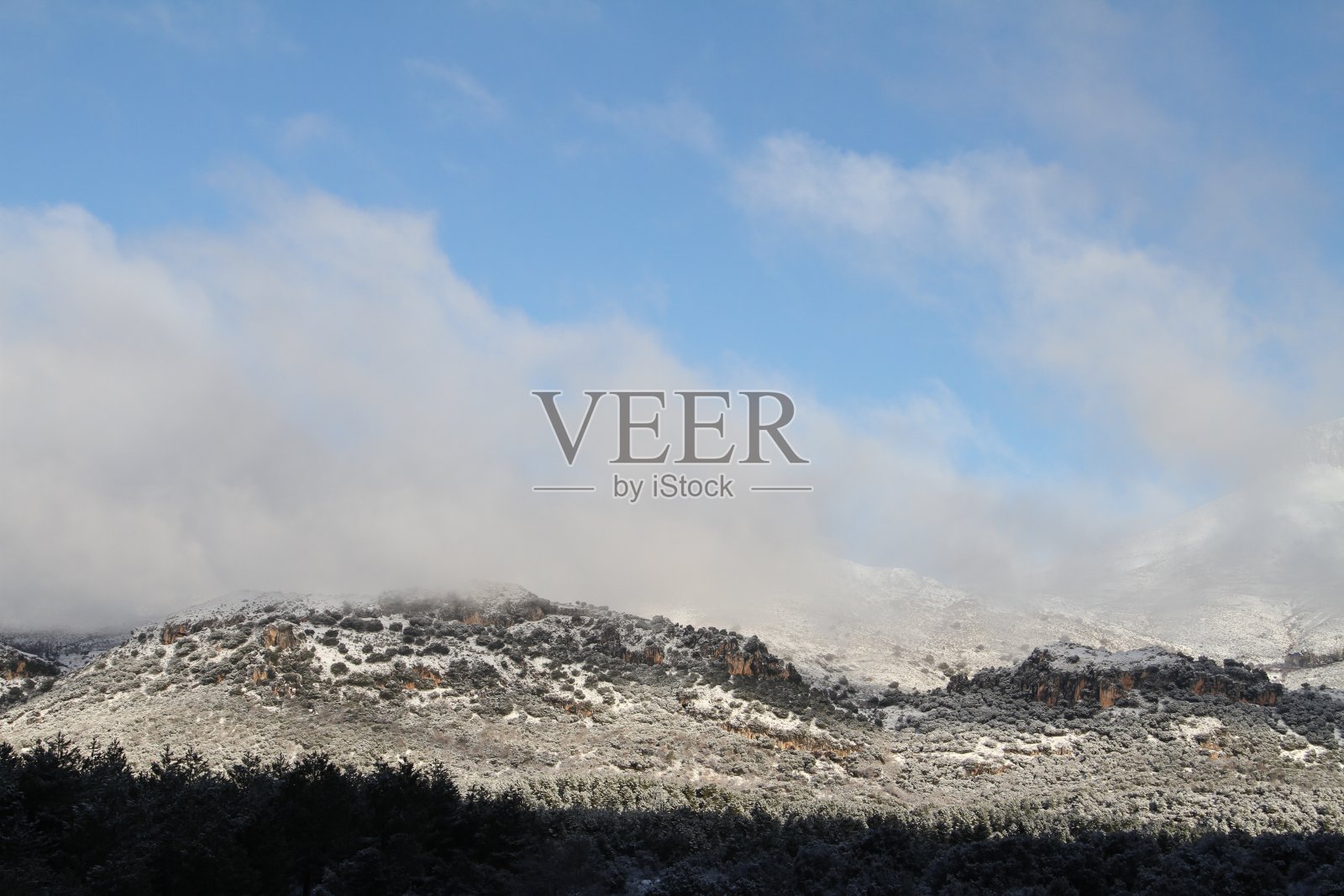 塞拉德休托尔照片摄影图片