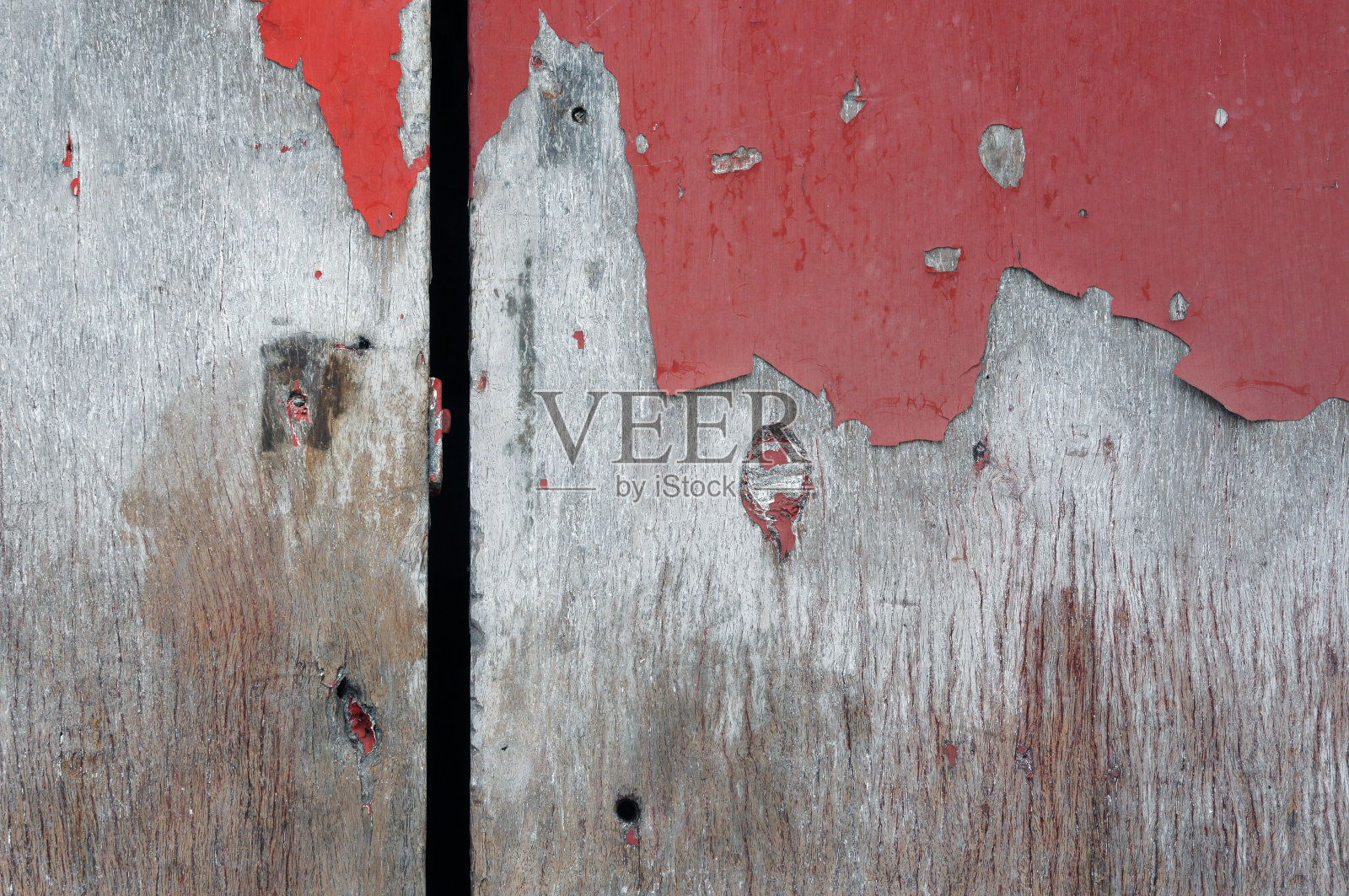 木照片摄影图片