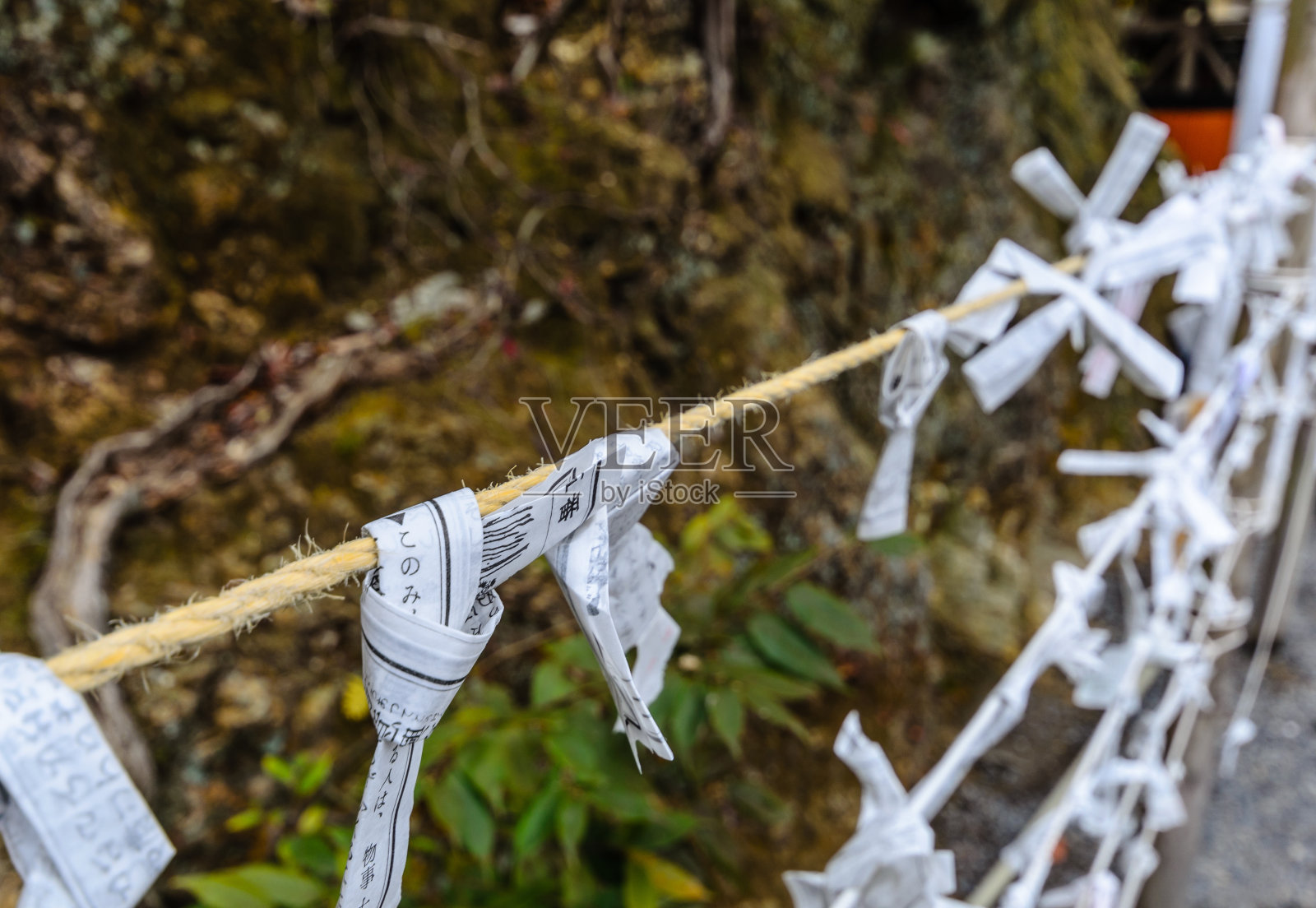 纸上的财富系在绳子上照片摄影图片