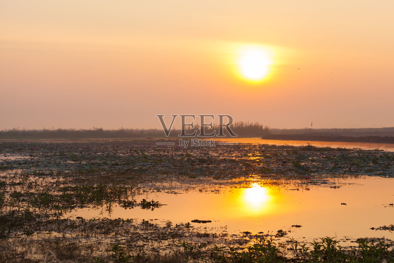 黎明的景色照片摄影图片
