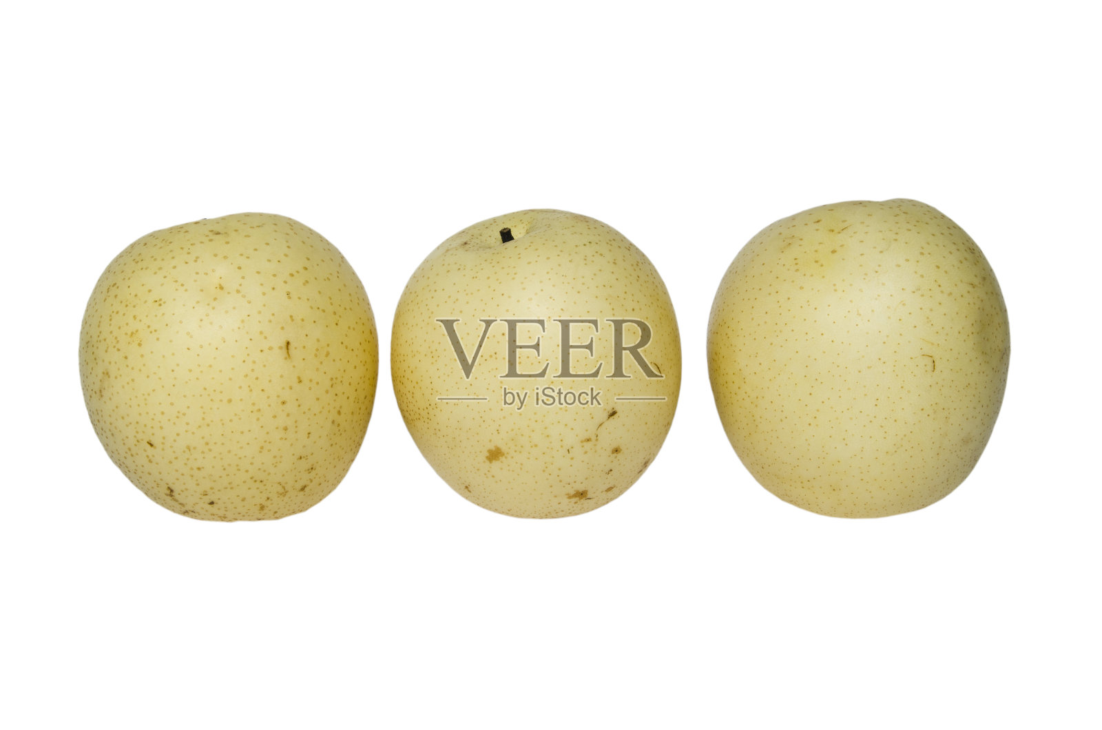 三种中国梨分离株照片摄影图片