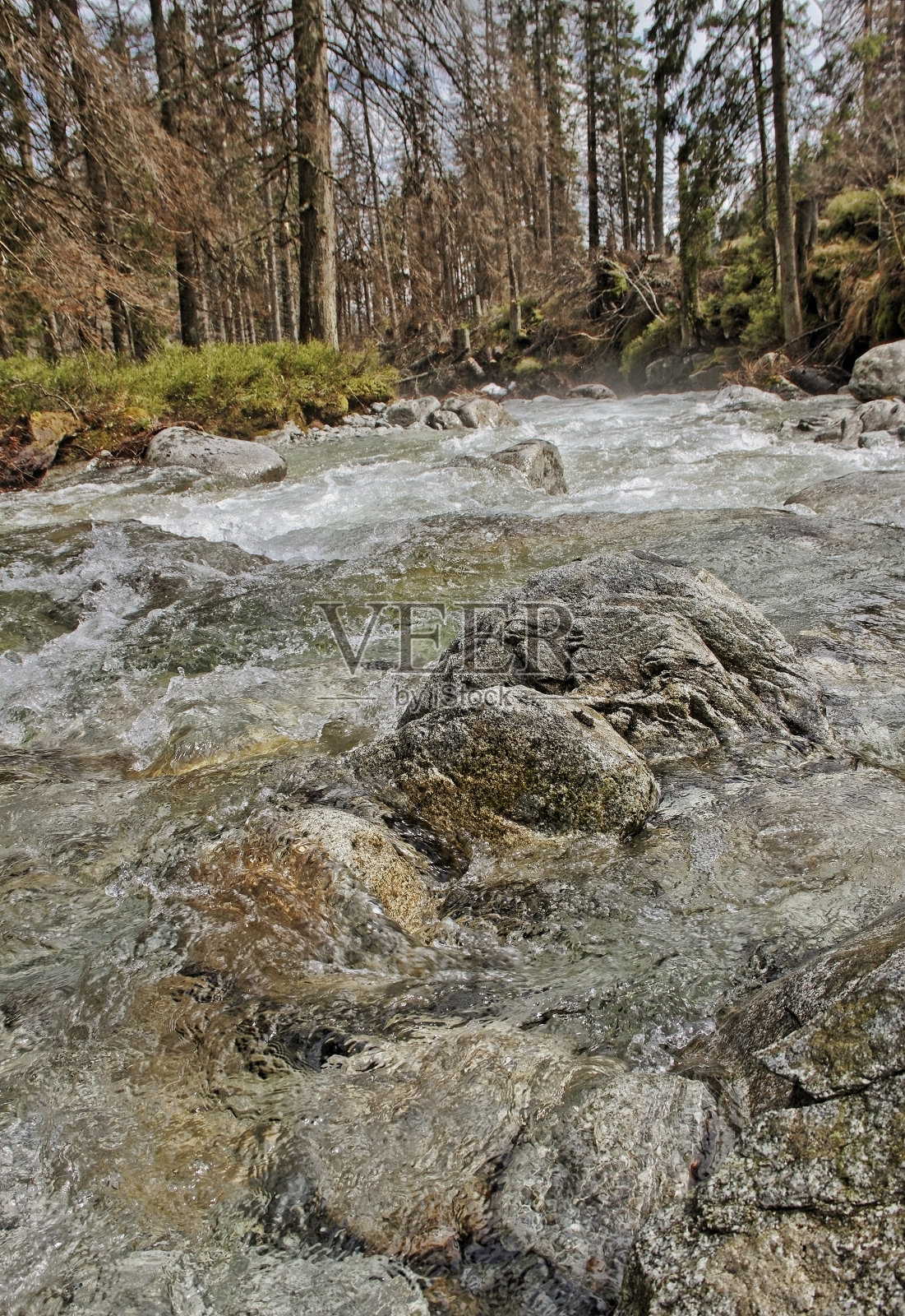 快速的小溪。照片摄影图片