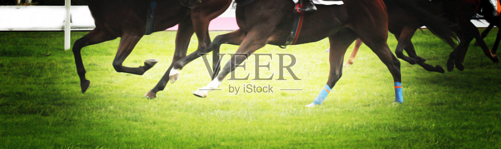 赛马照片摄影图片