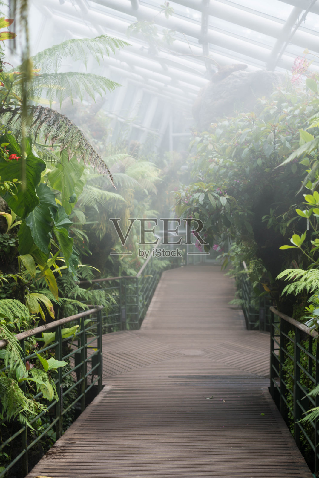 酷屋照片摄影图片