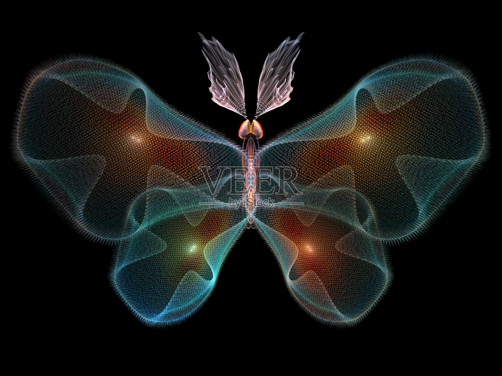 数字的蝴蝶照片摄影图片