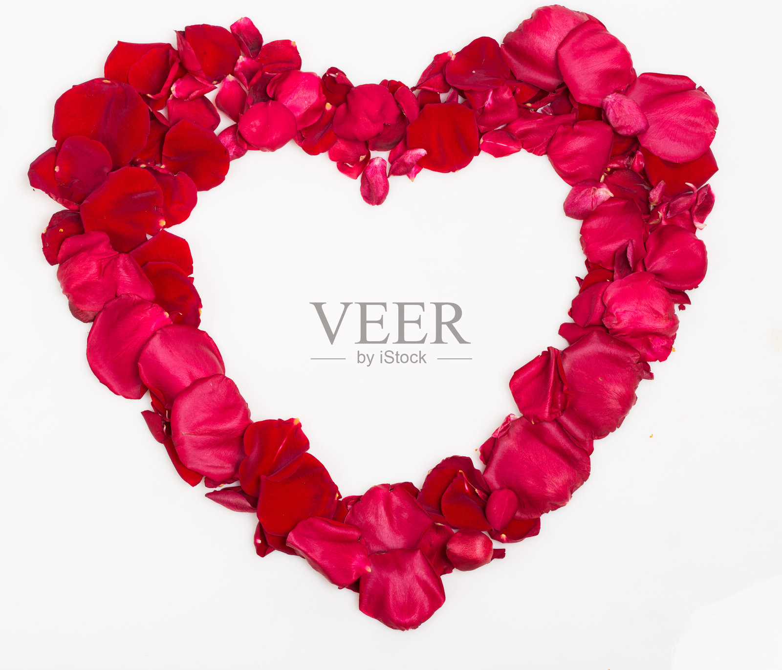 玫瑰的心照片摄影图片