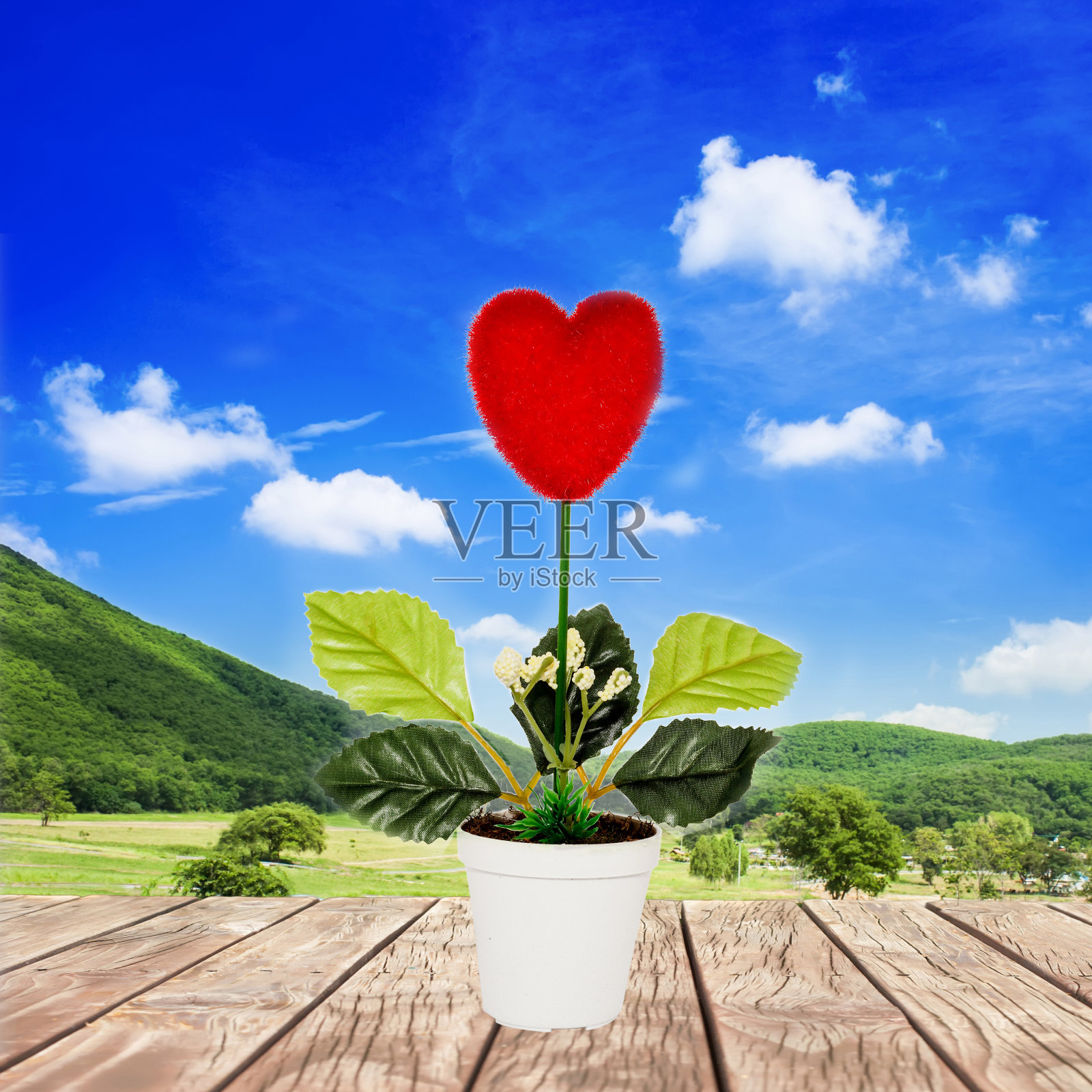 爱之树照片摄影图片