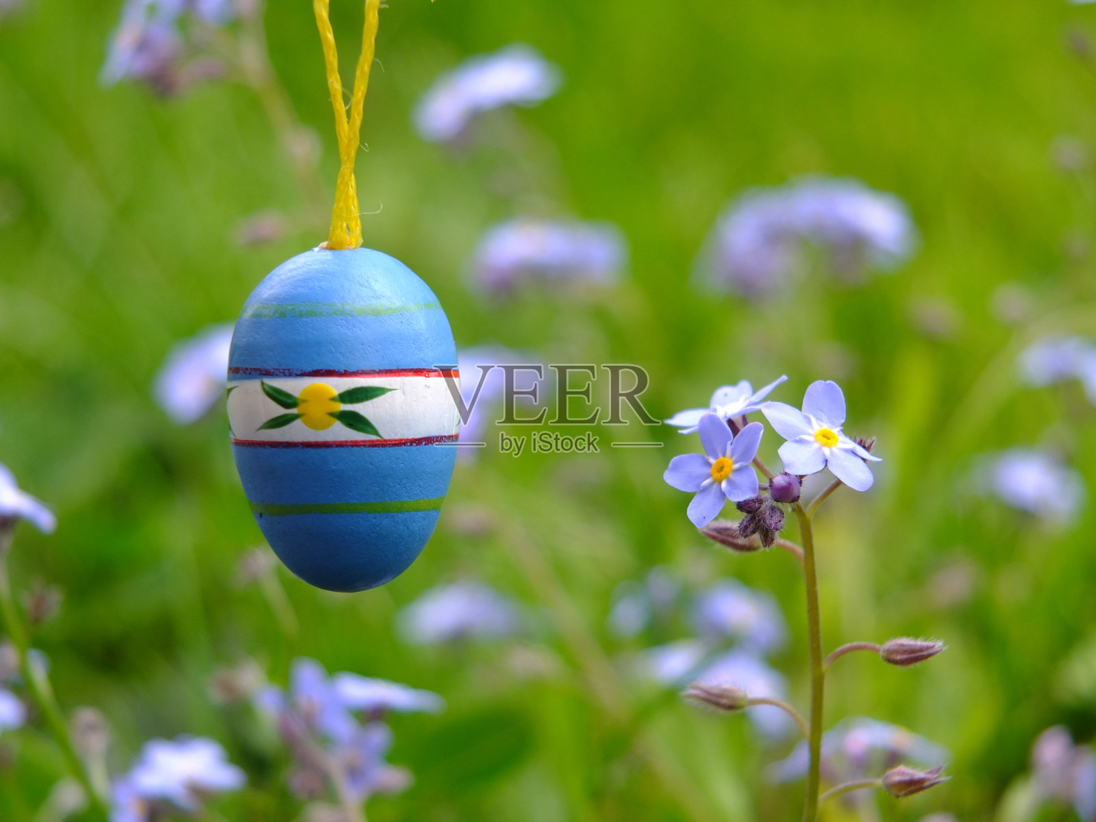 草地上明亮的复活节彩蛋照片摄影图片