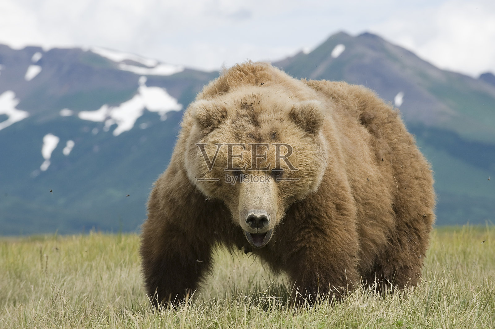 你在干什么?照片摄影图片