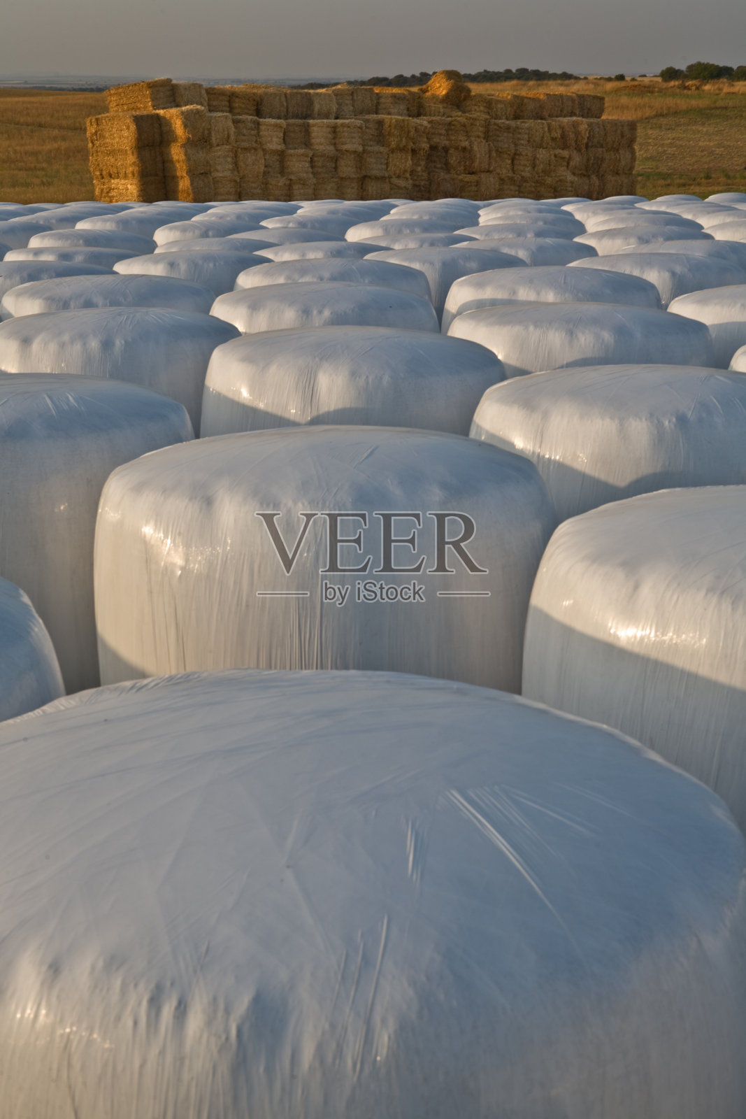 两种稻草包装照片摄影图片