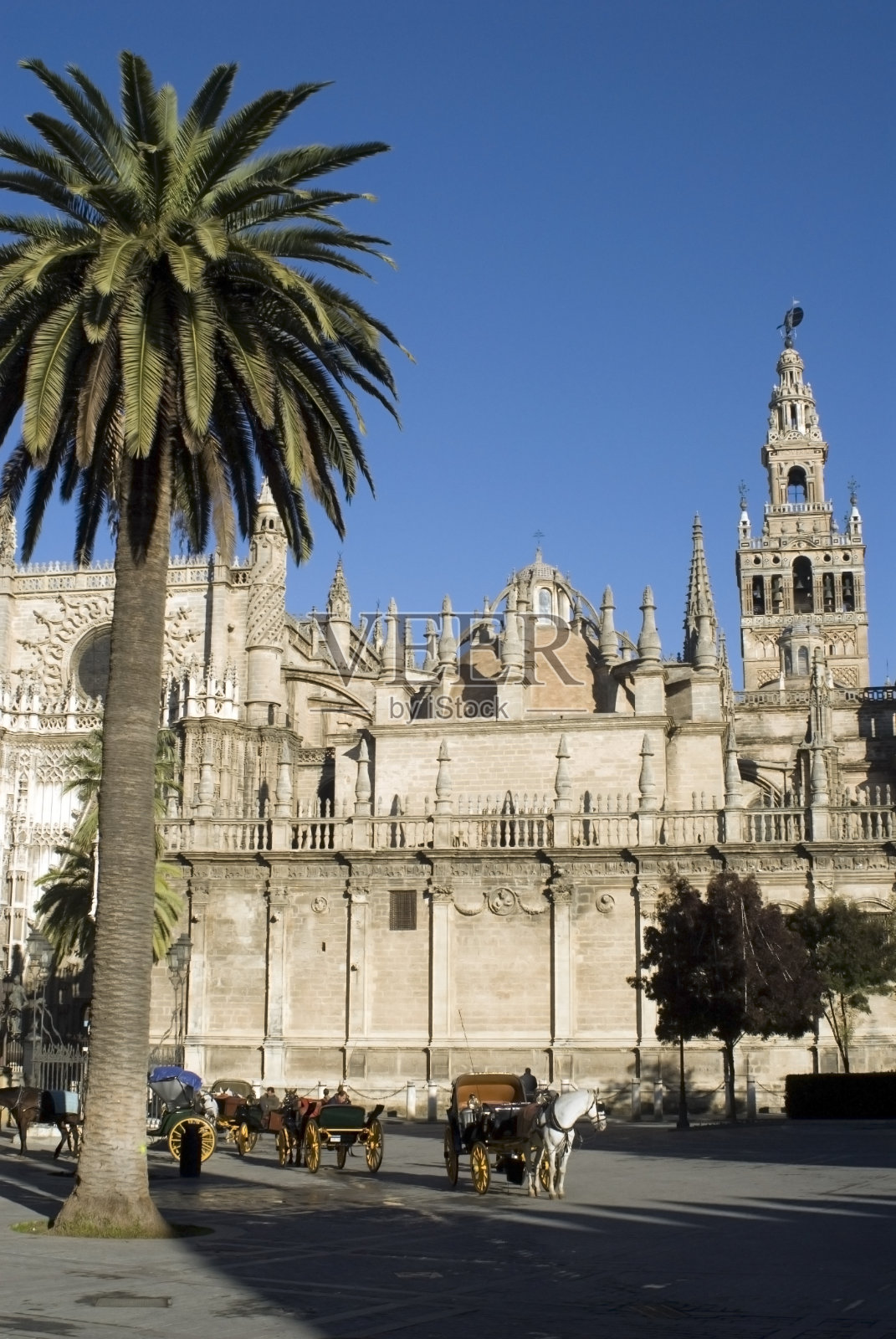 蓝天下的历史建筑景观照片摄影图片