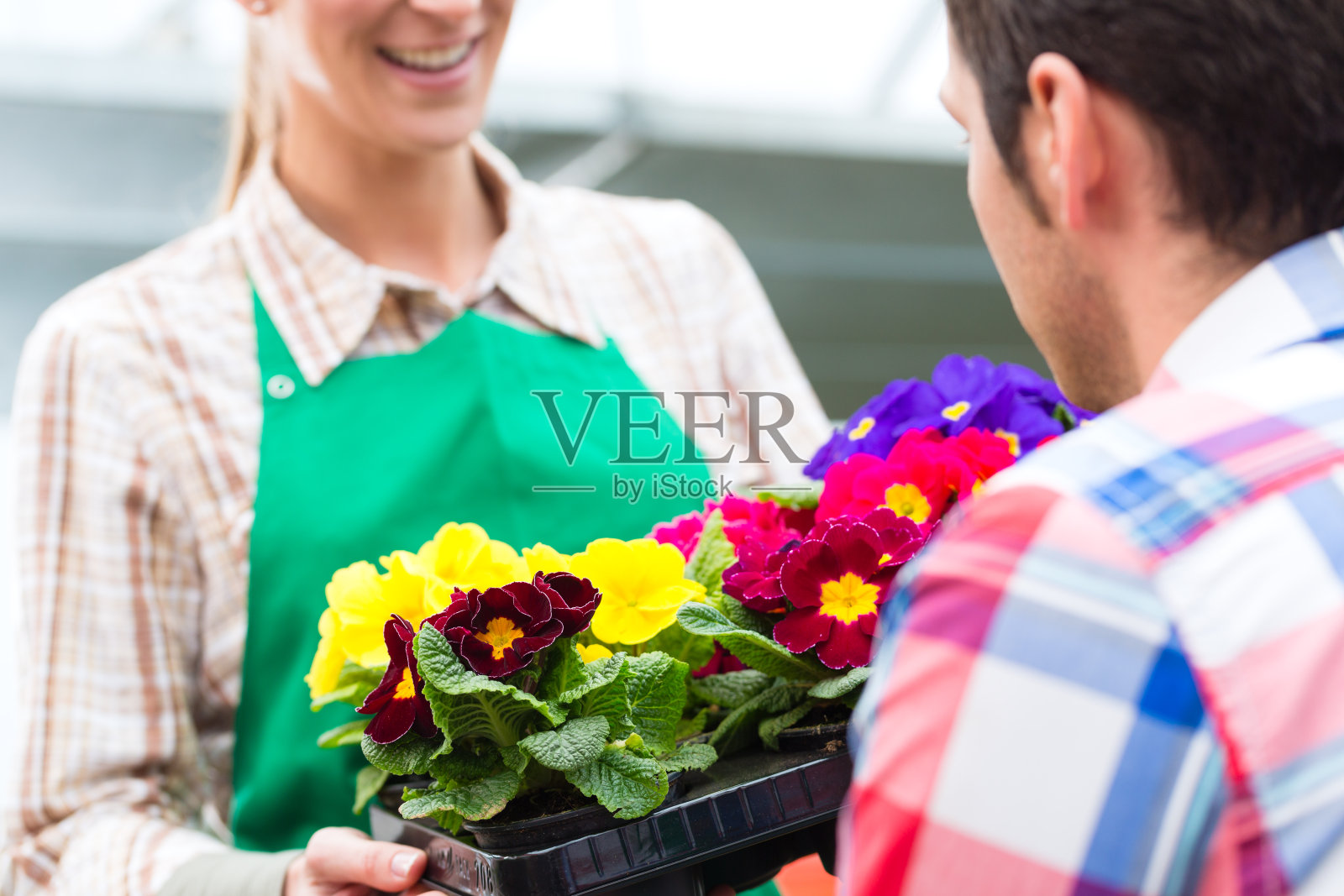 市场花园或苗圃的园丁照片摄影图片