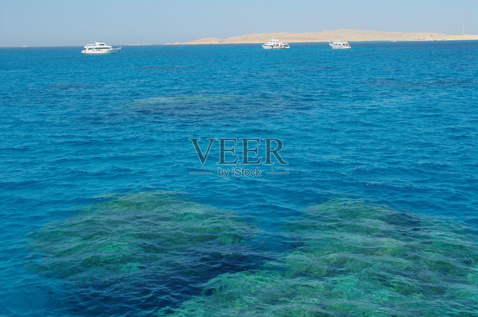 珊瑚礁照片摄影图片