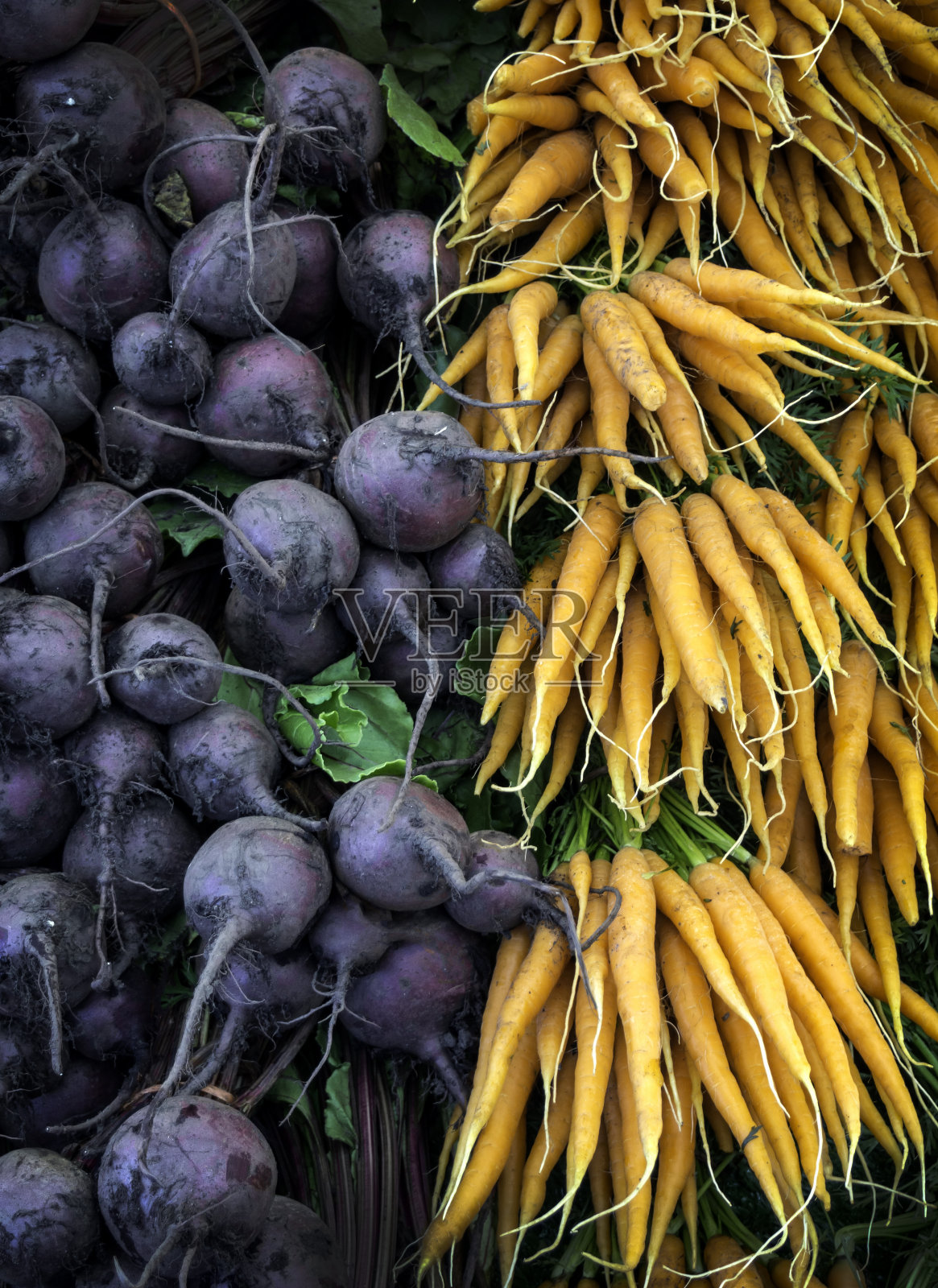 一把胡萝卜和甜菜根照片摄影图片