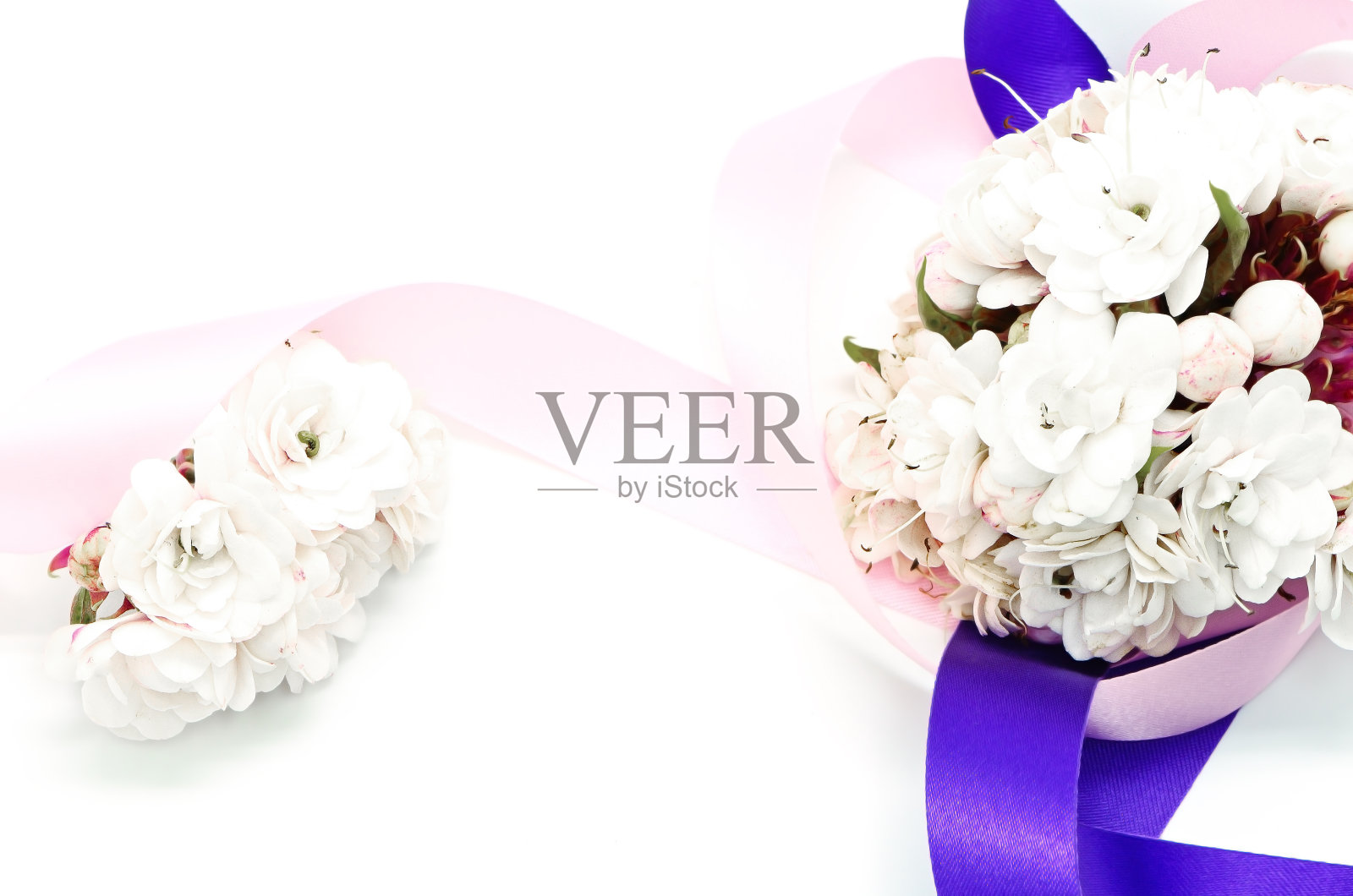 荣耀鲍尔花照片摄影图片