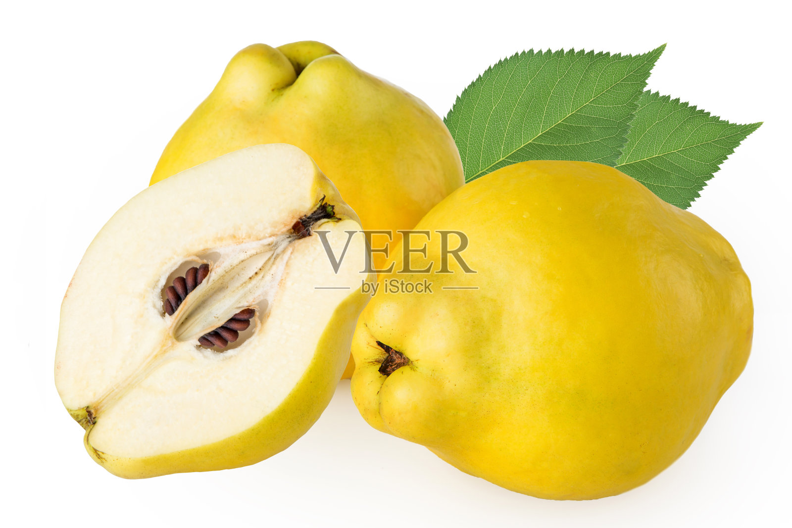 白色背景上的榅桲照片摄影图片