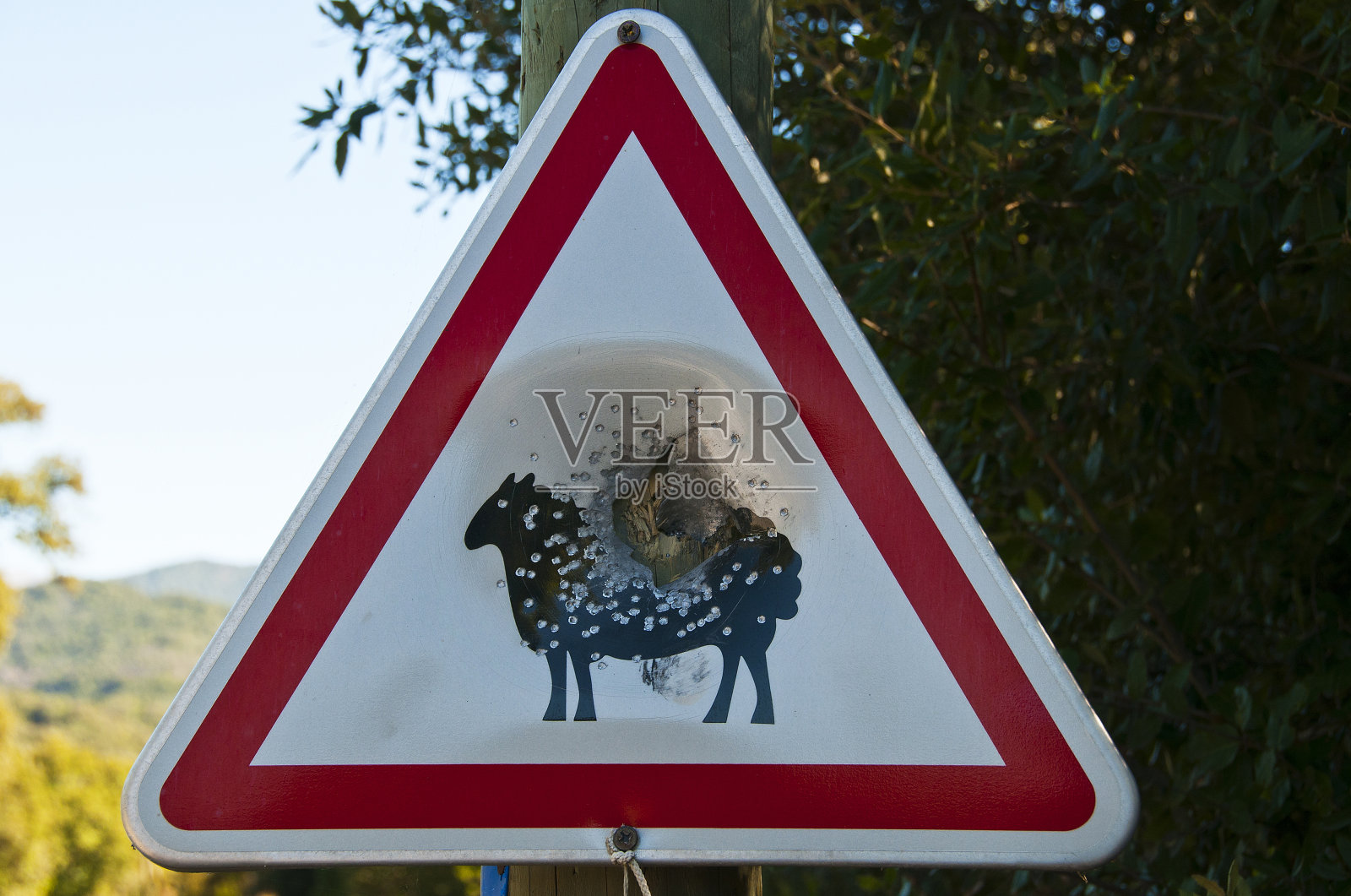 潘诺·科塞照片摄影图片