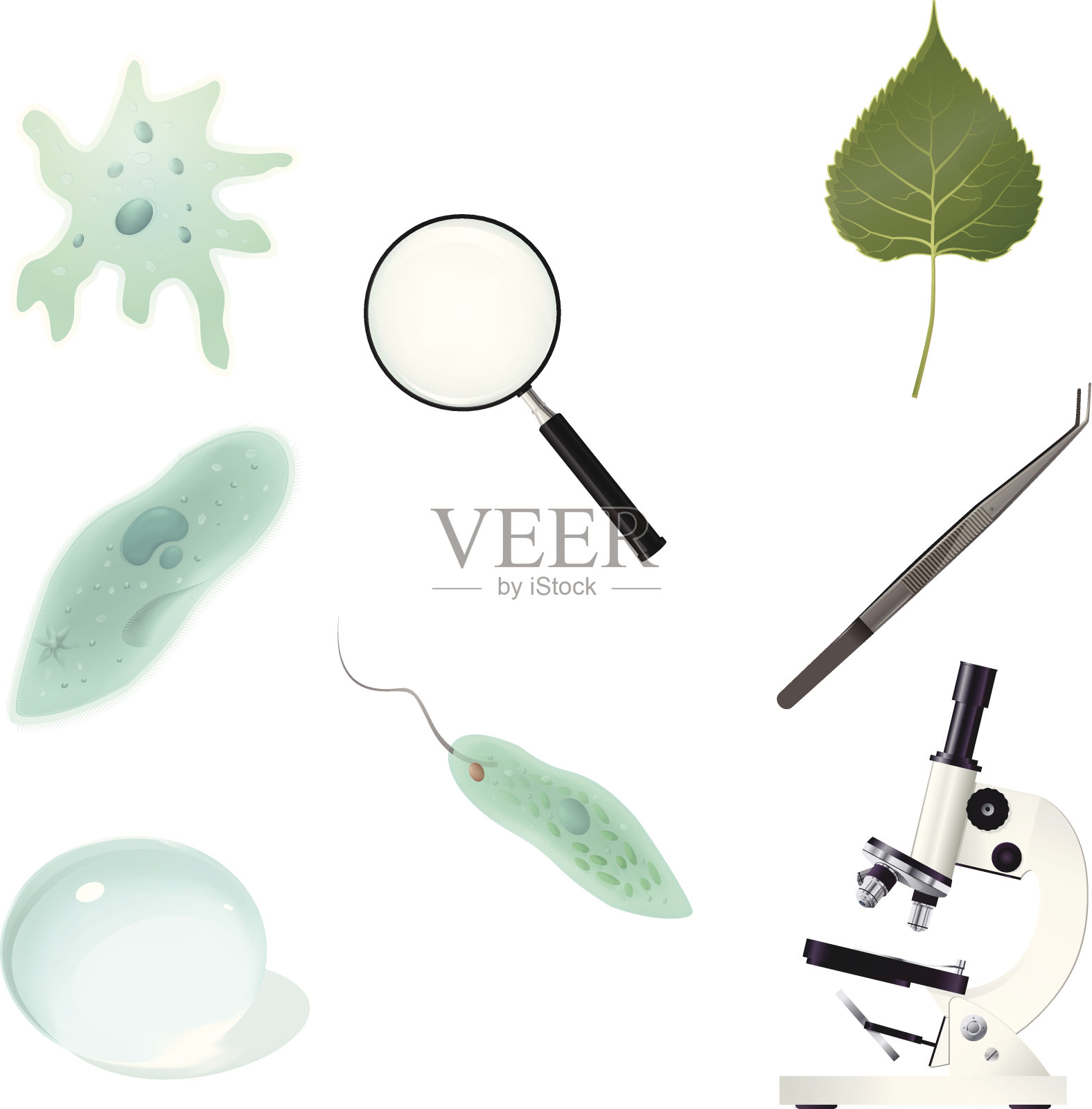 生物学图标插画图片素材