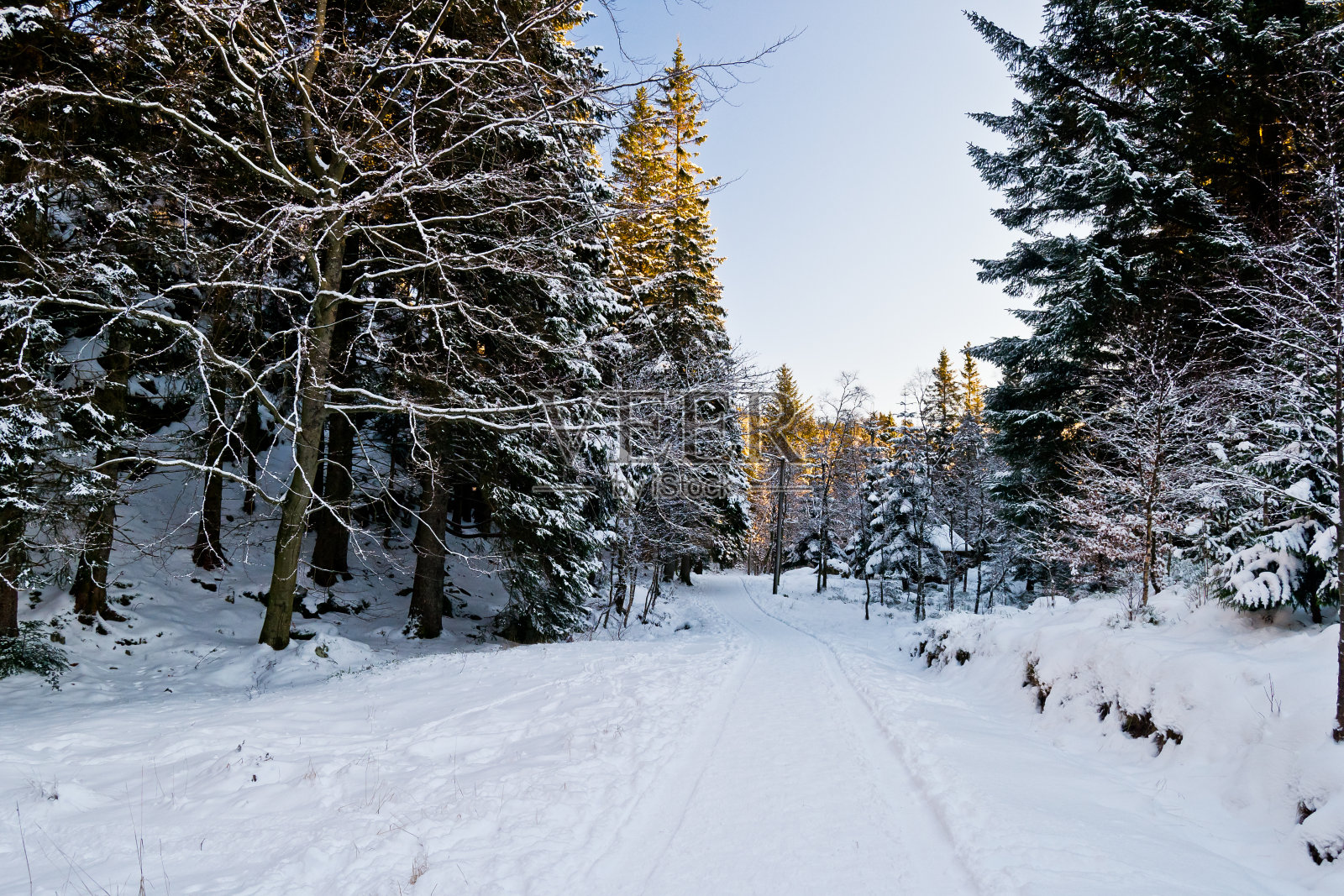 雪的风景2照片摄影图片
