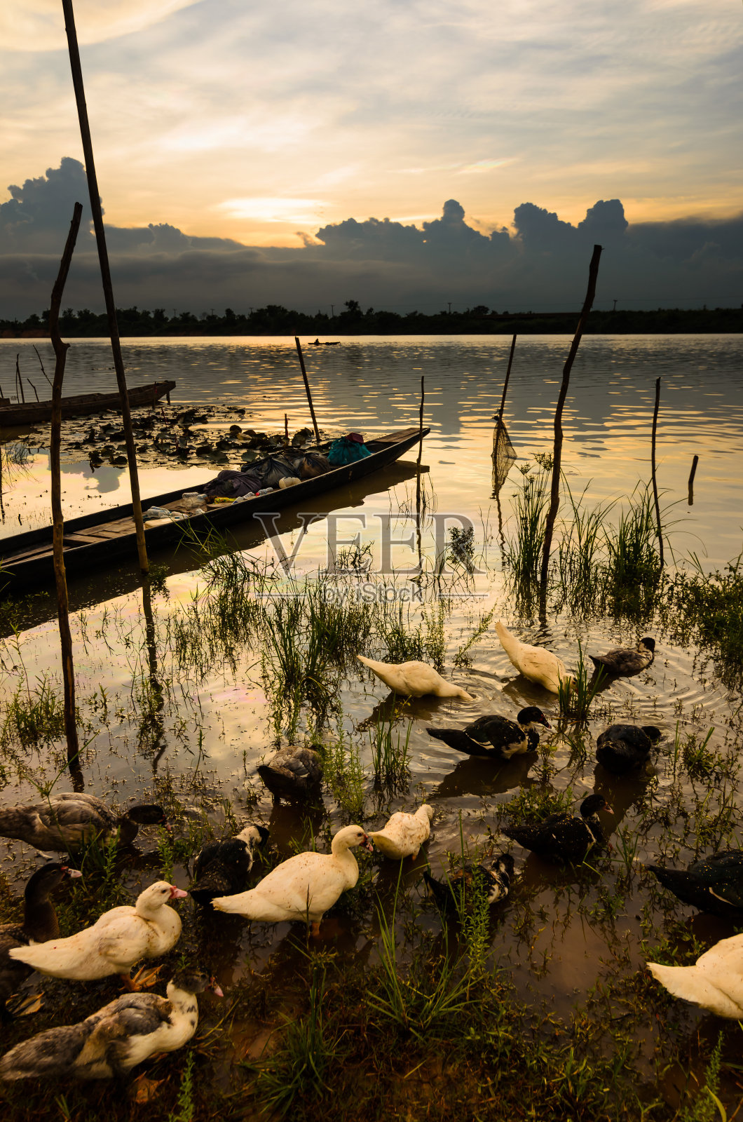 河在泰国照片摄影图片