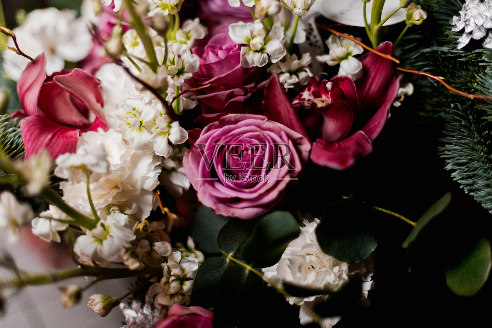 玫瑰照片摄影图片