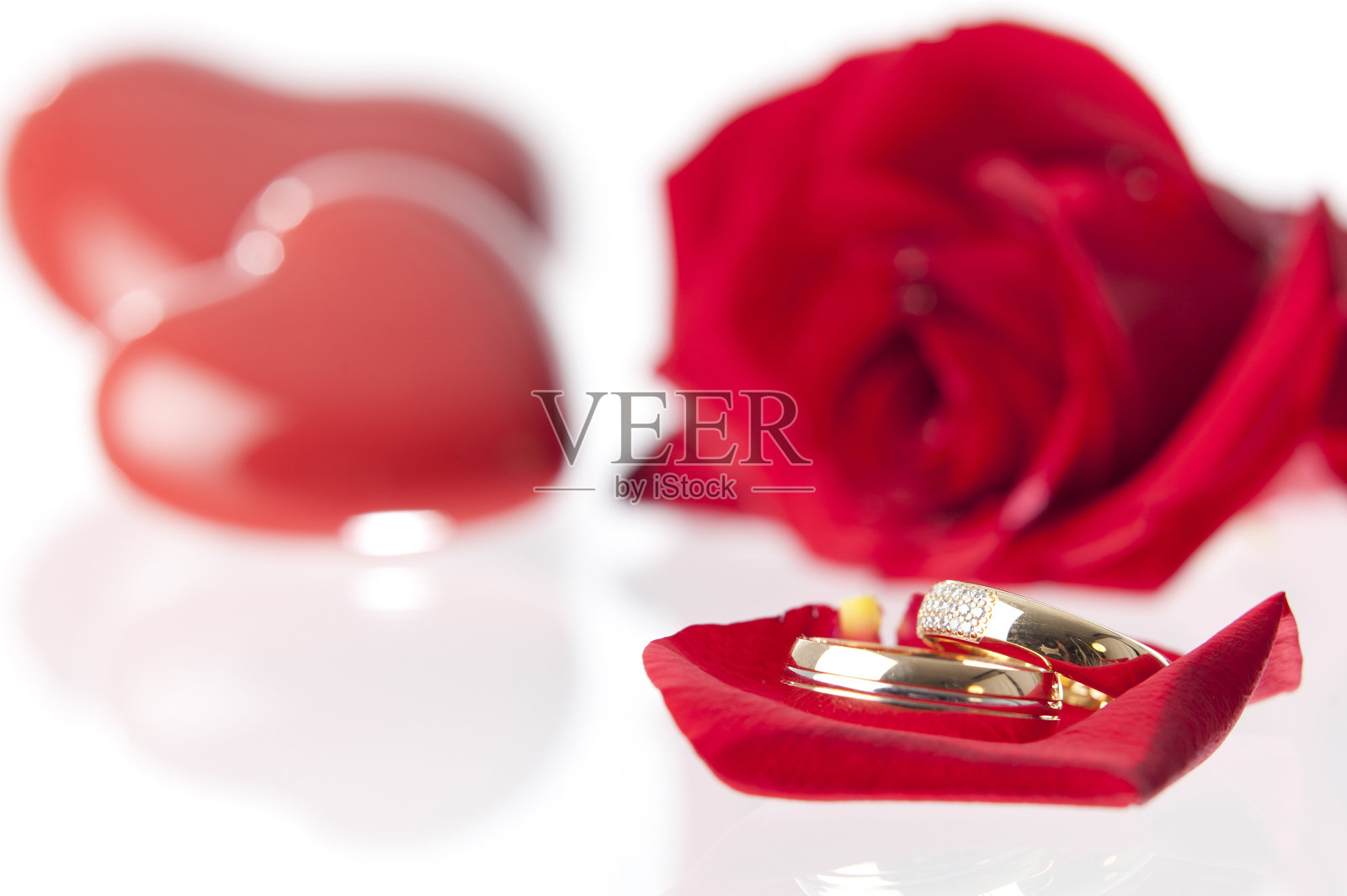 结婚戒指和玫瑰。GN照片摄影图片