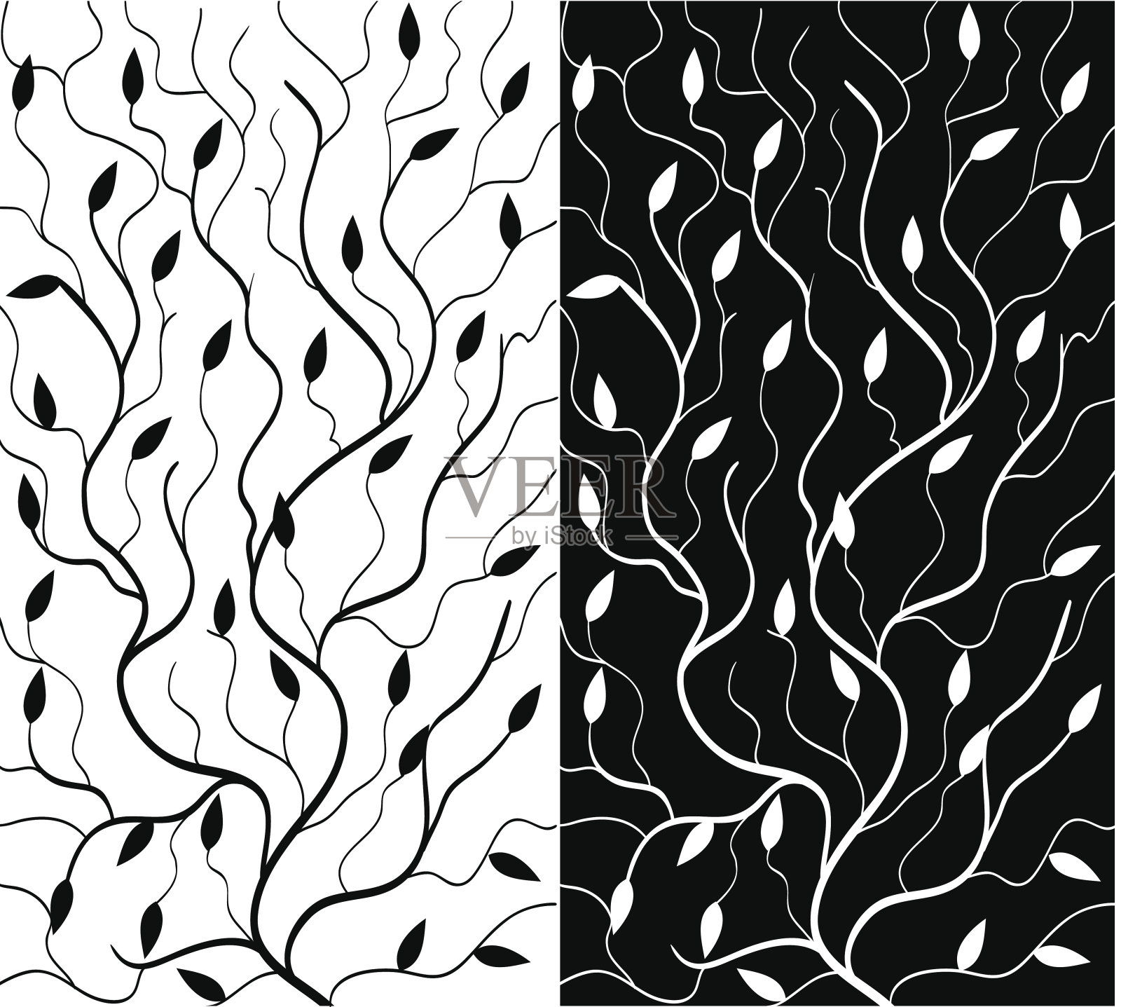 黑白花背景插画图片素材