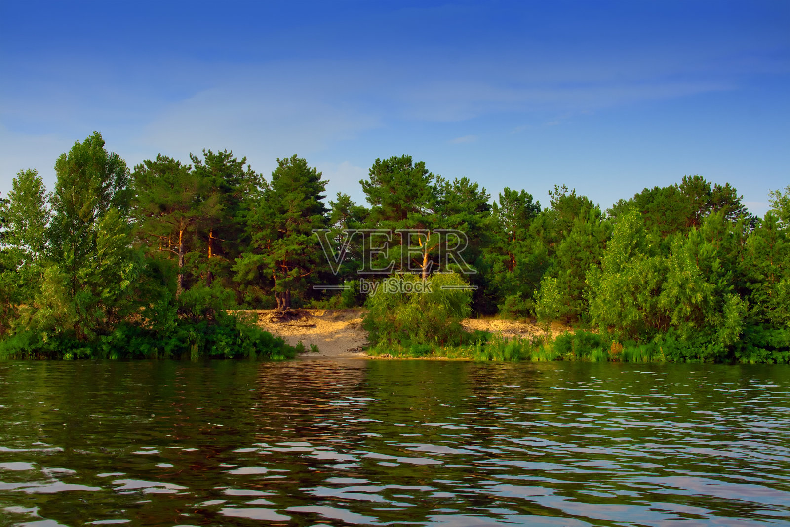 绿色的森林照片摄影图片
