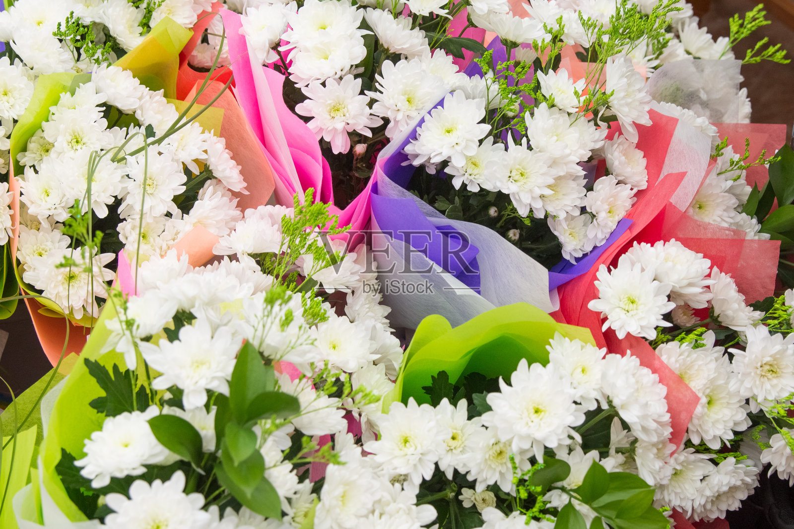 许多花束的菊花在鲜艳的包装照片摄影图片
