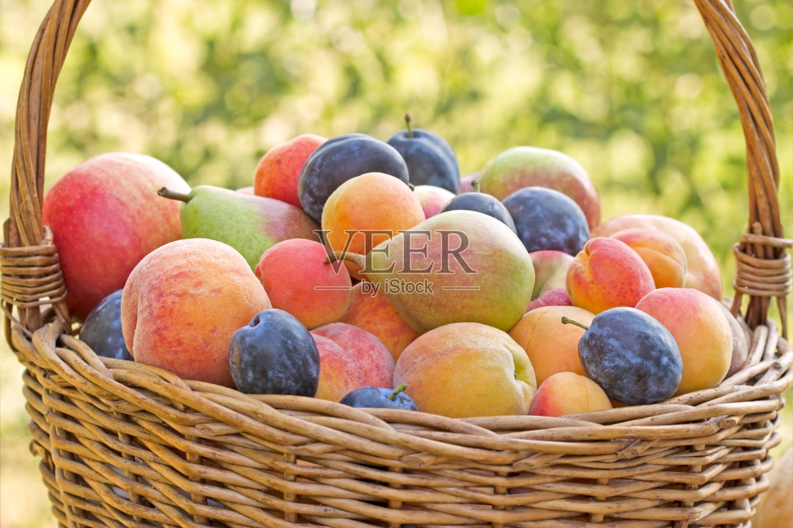 秋天果实累累照片摄影图片