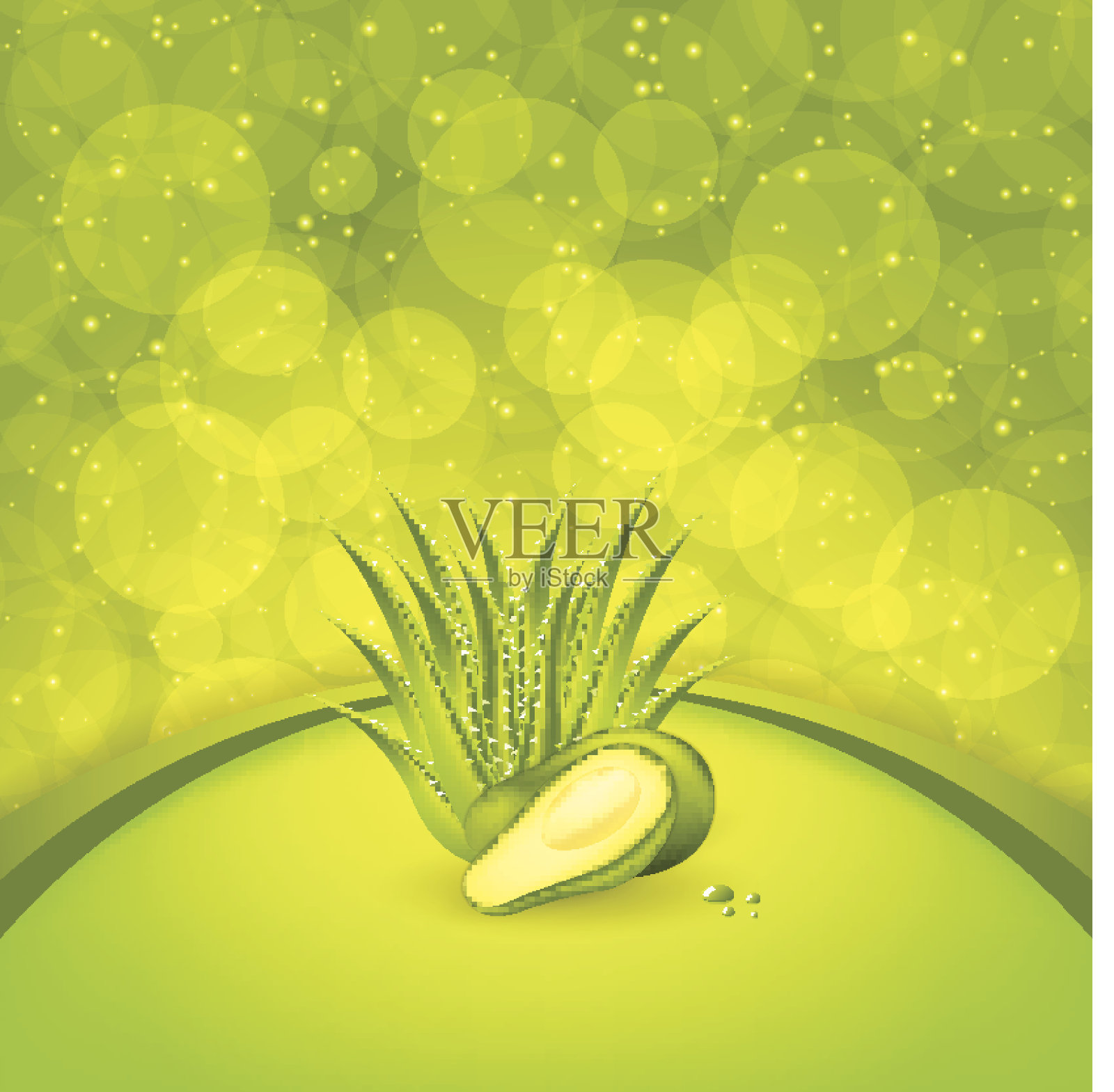 鳄梨和芦荟插画图片素材