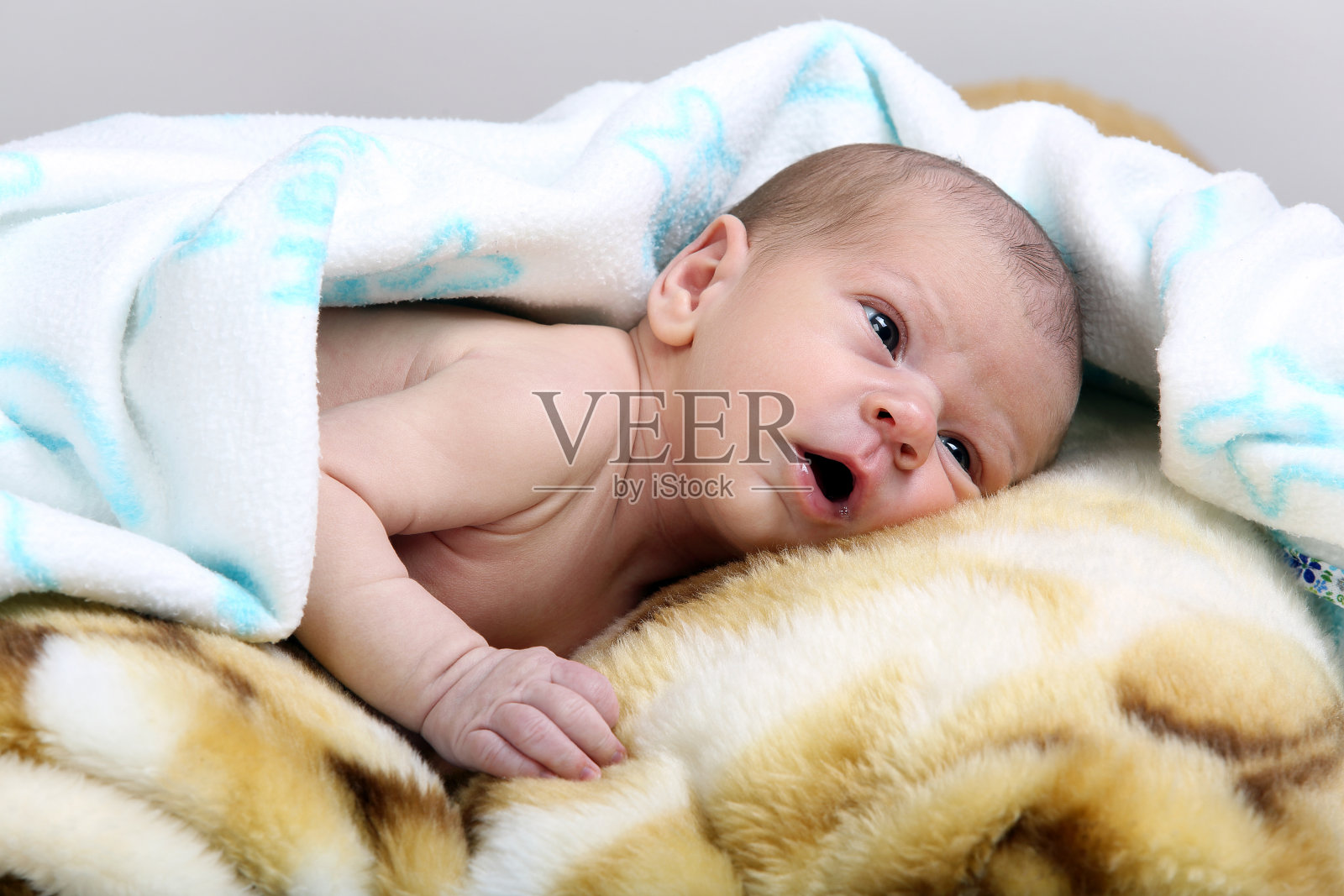 新生男婴照片摄影图片