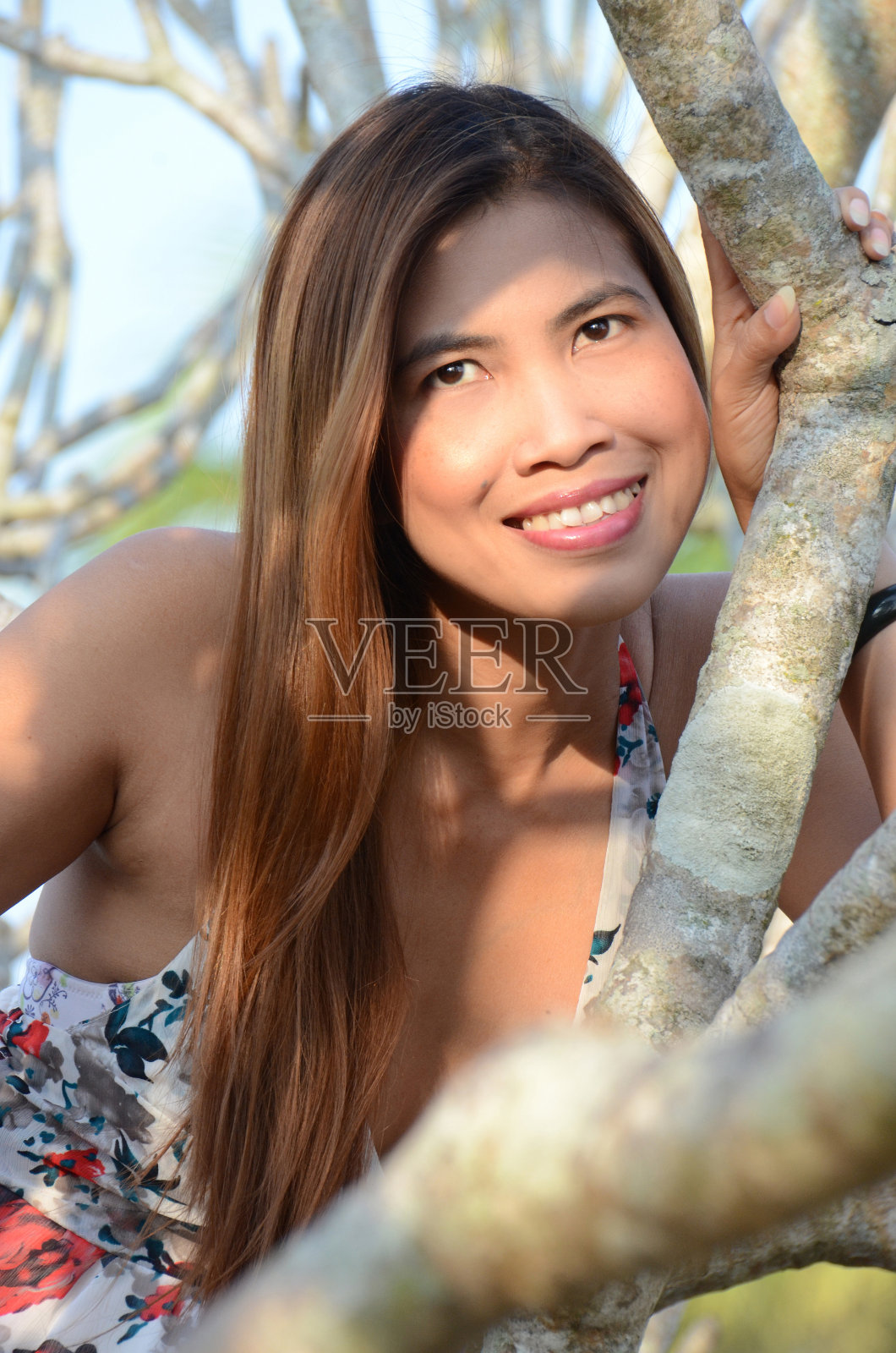 树上的女人照片摄影图片