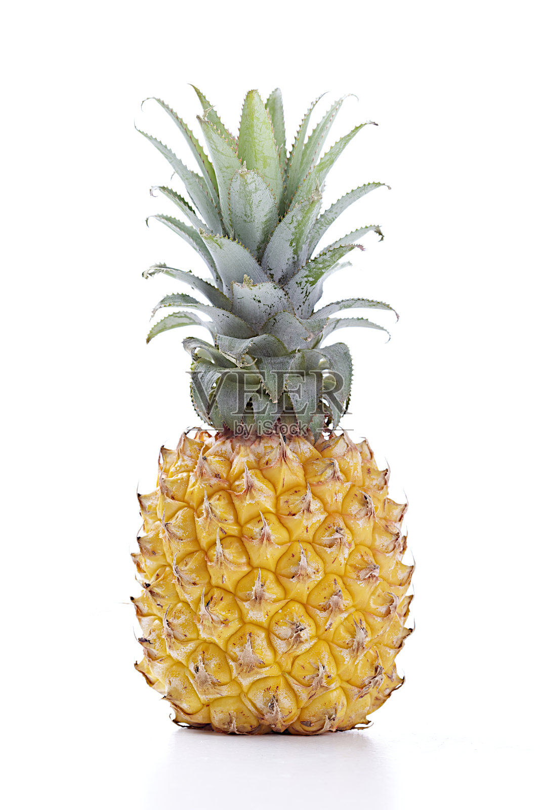 孤立的菠萝照片摄影图片