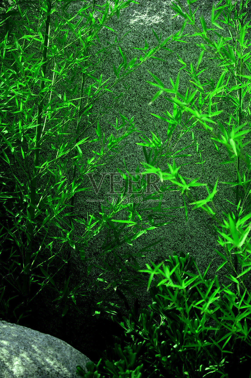 自然照片摄影图片