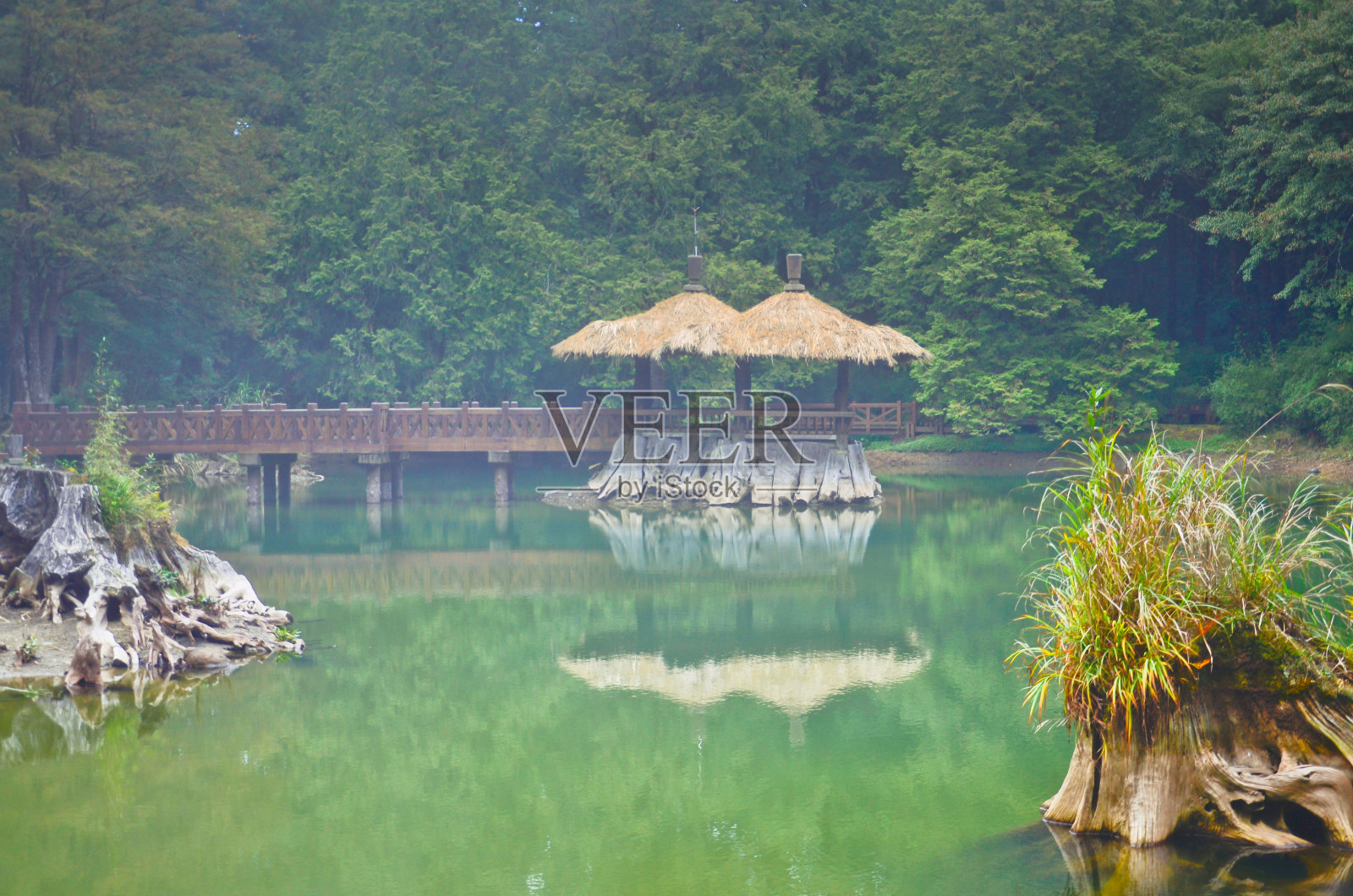 台湾阿里山森林游乐园照片摄影图片