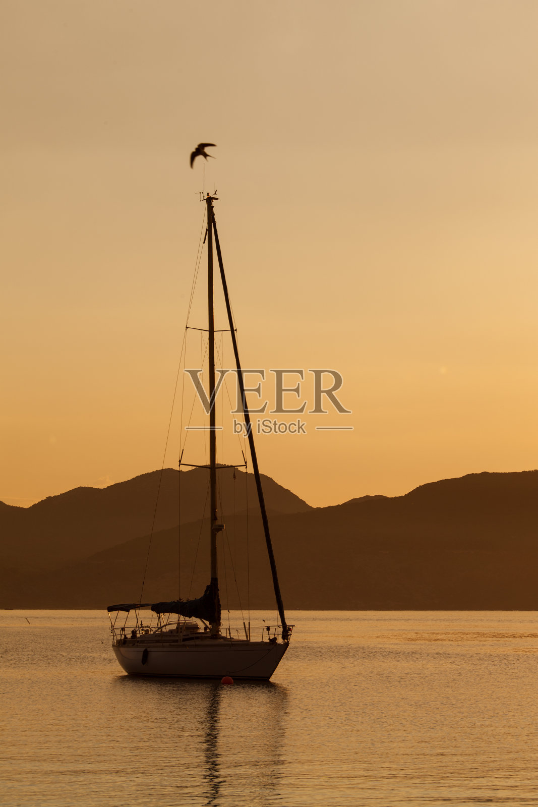 在夕阳下航行的游艇。假日生活方式景观与s照片摄影图片