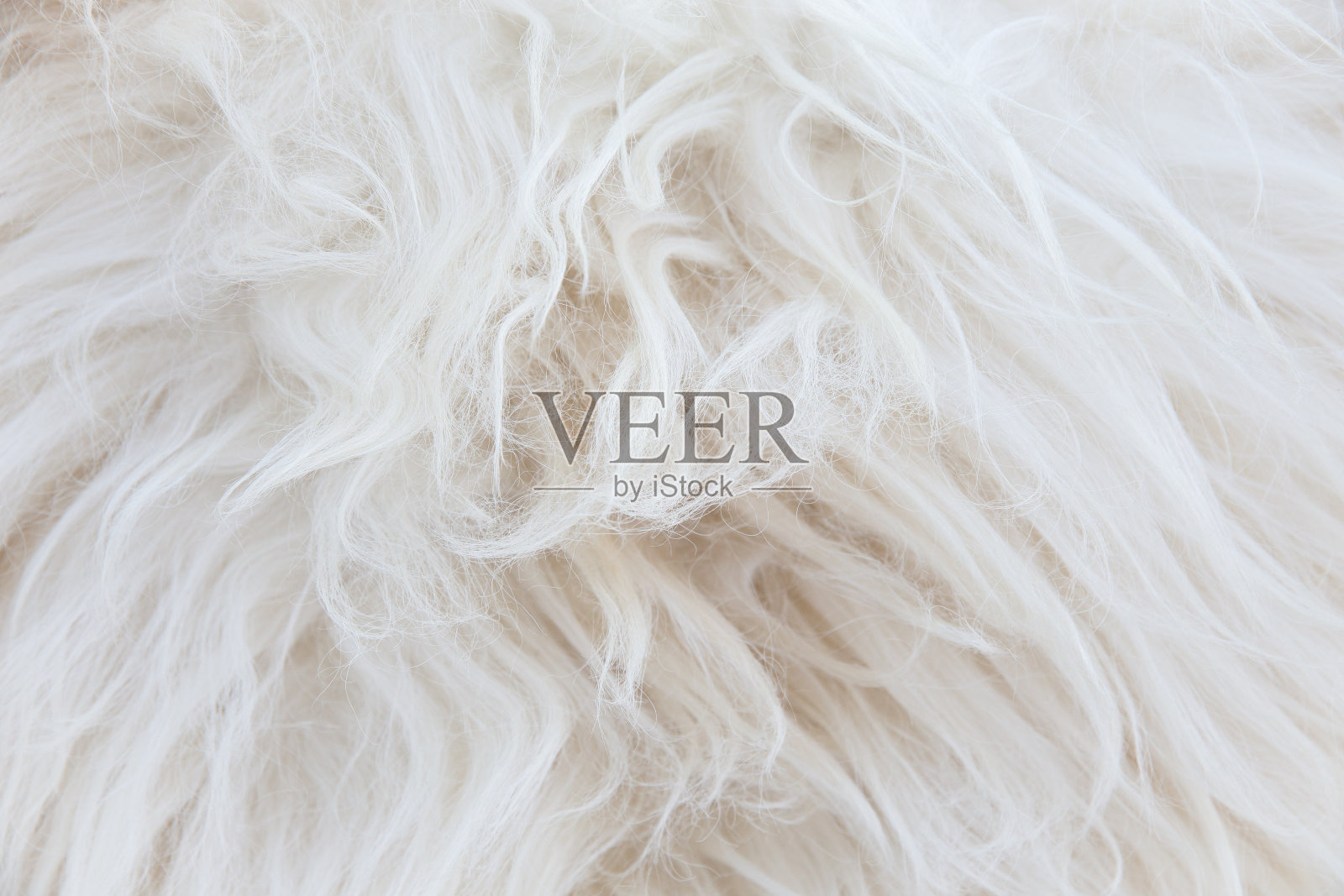 羊皮的背景照片摄影图片