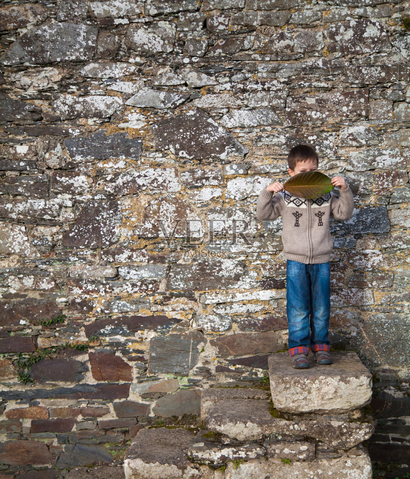 男孩站在古老的梯子上照片摄影图片