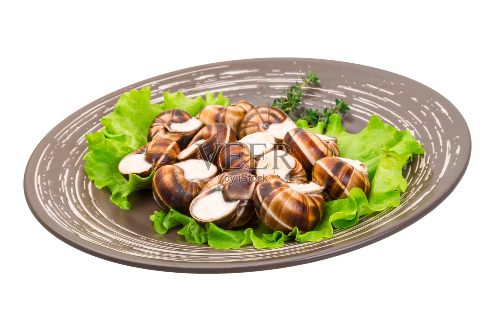 埃斯卡戈特照片摄影图片