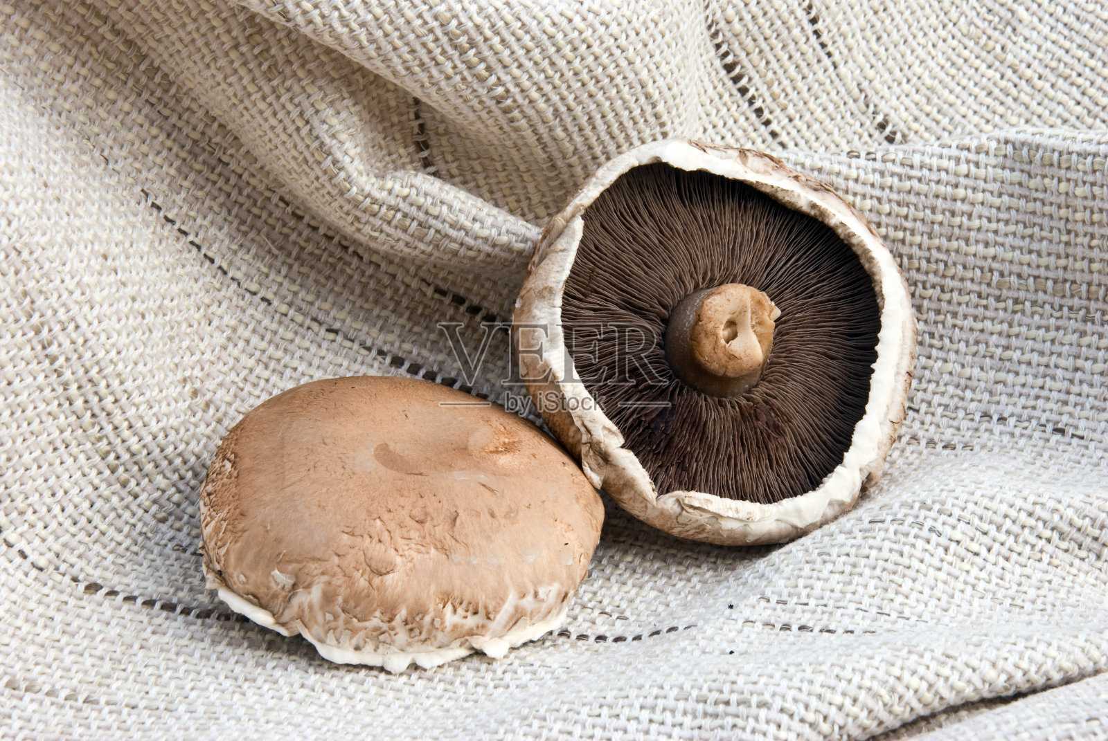 两个portabello蘑菇照片摄影图片