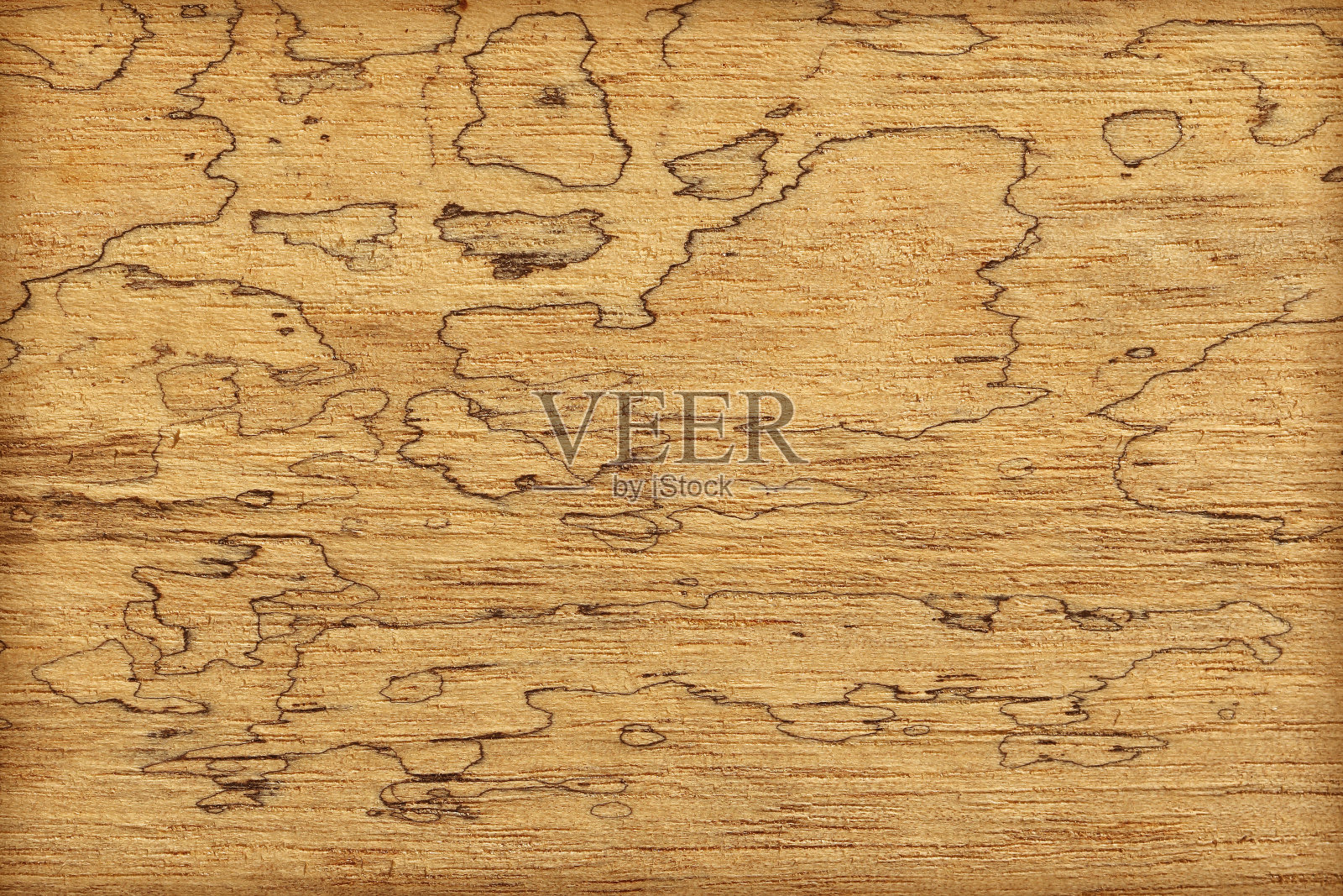 木材上的模具纹理照片摄影图片