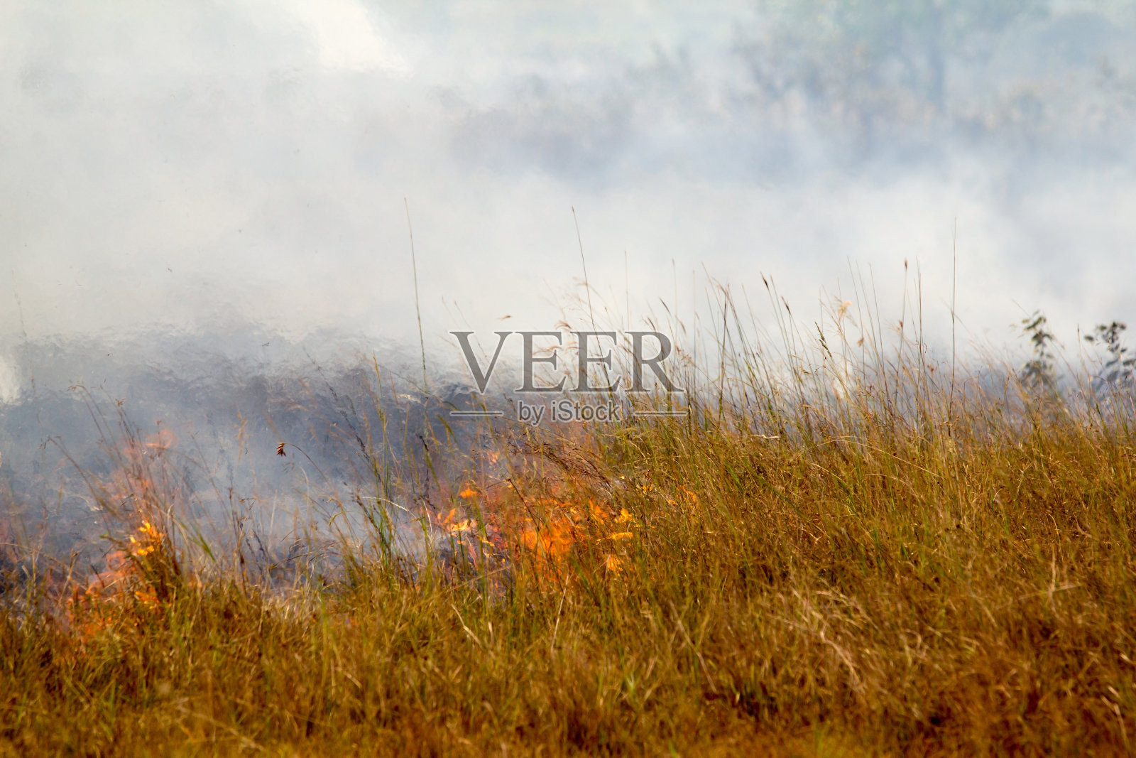 草原火灾照片摄影图片