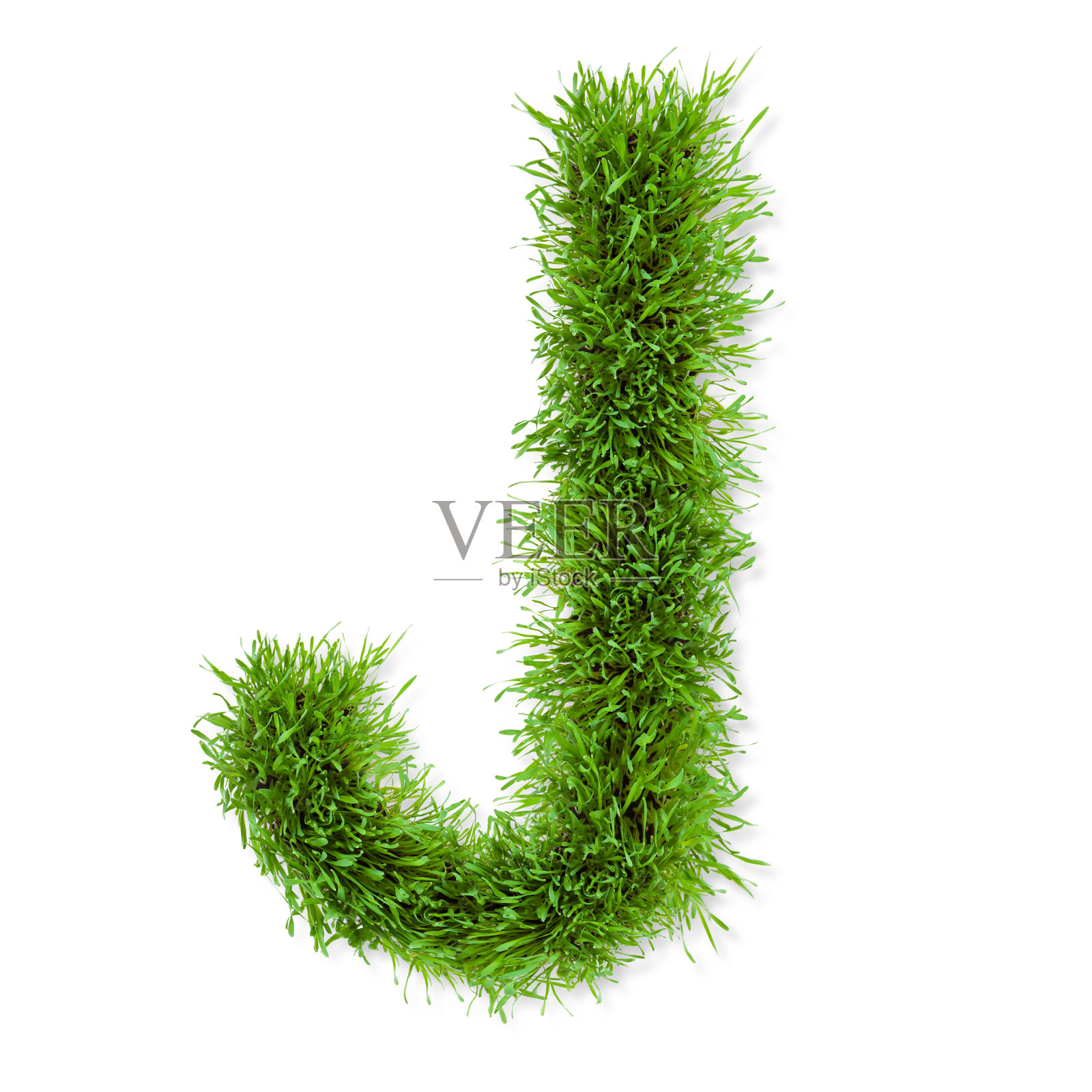 草的信照片摄影图片