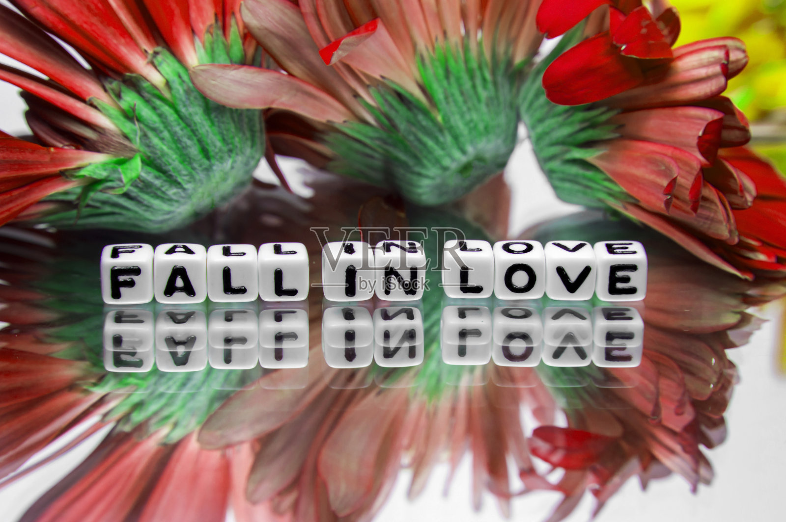 爱上红花照片摄影图片