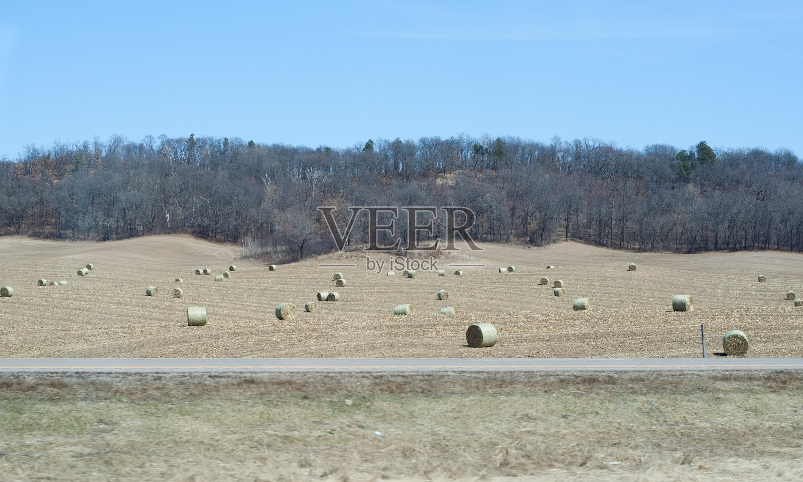 田里的干草照片摄影图片
