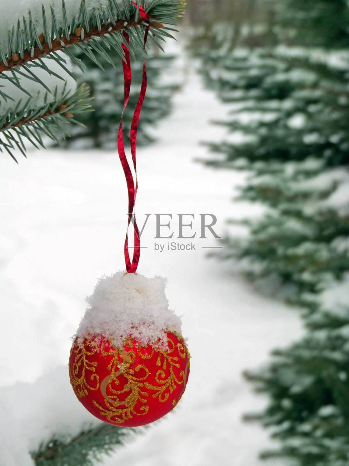 街上一棵冷杉树上覆盖着白雪的球照片摄影图片