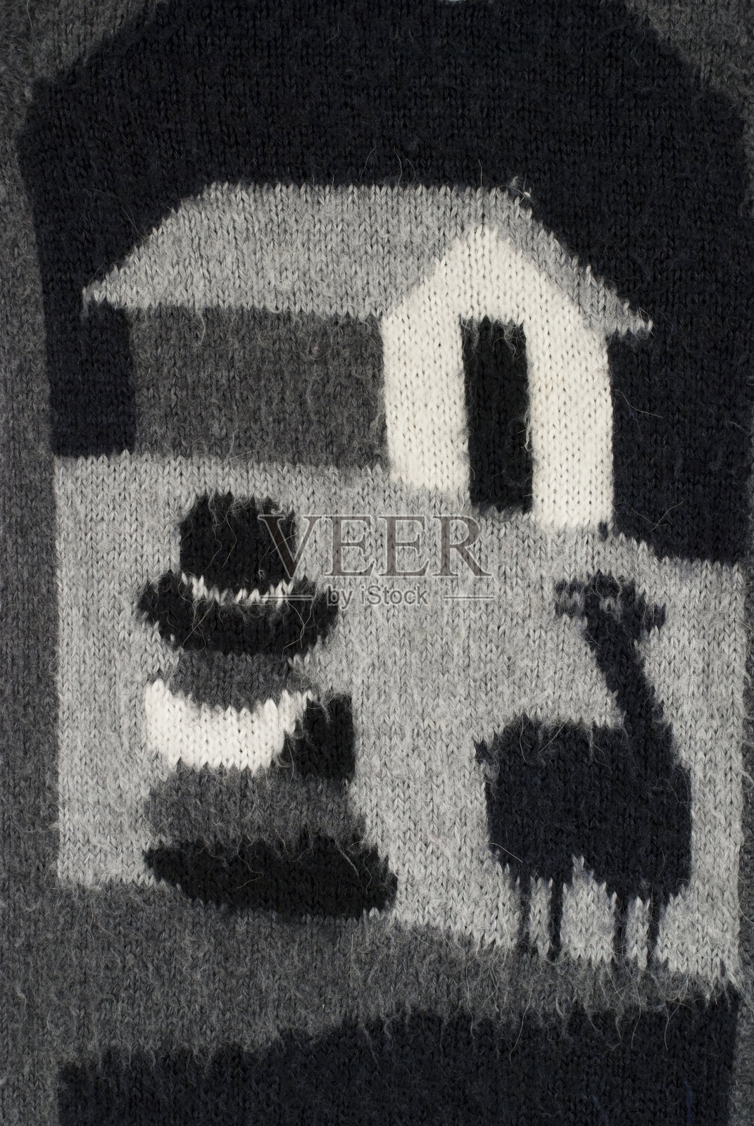 羊驼Tecture照片摄影图片