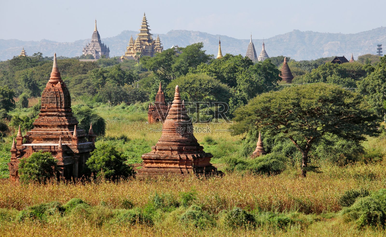 在蒲甘寺庙照片摄影图片