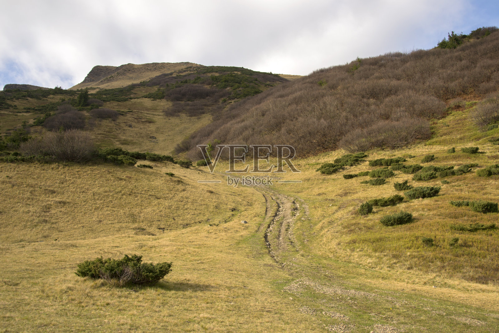 秋天的傍晚照片摄影图片